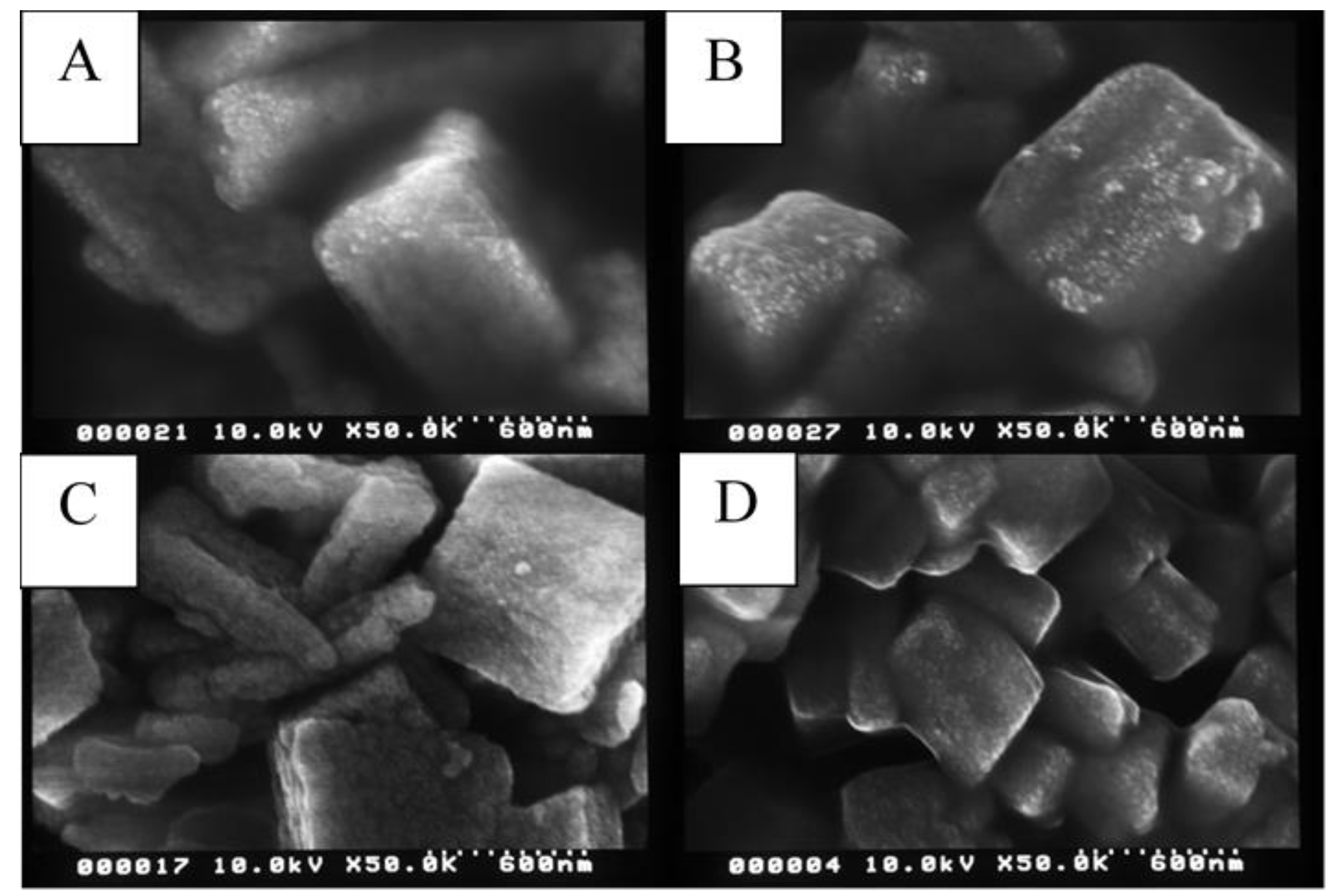 Separations 11 00019 g003