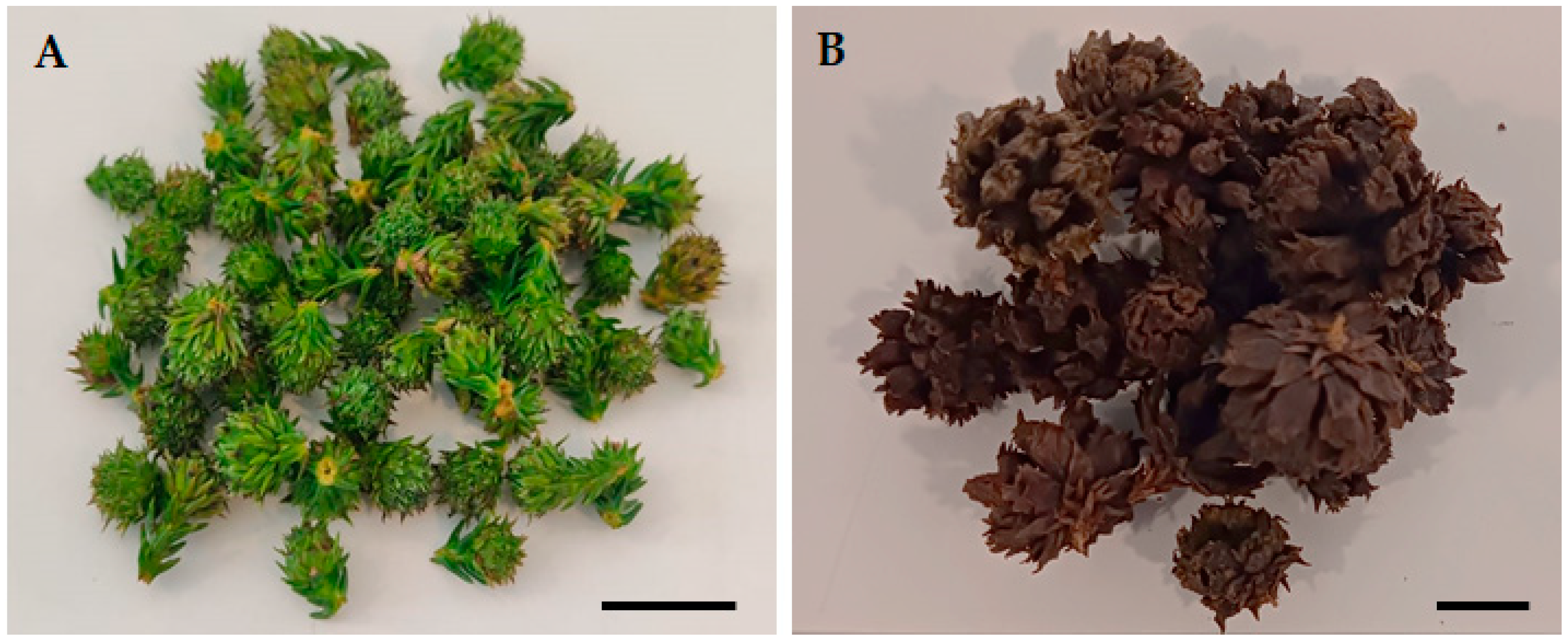 Separations 11 00062 g001