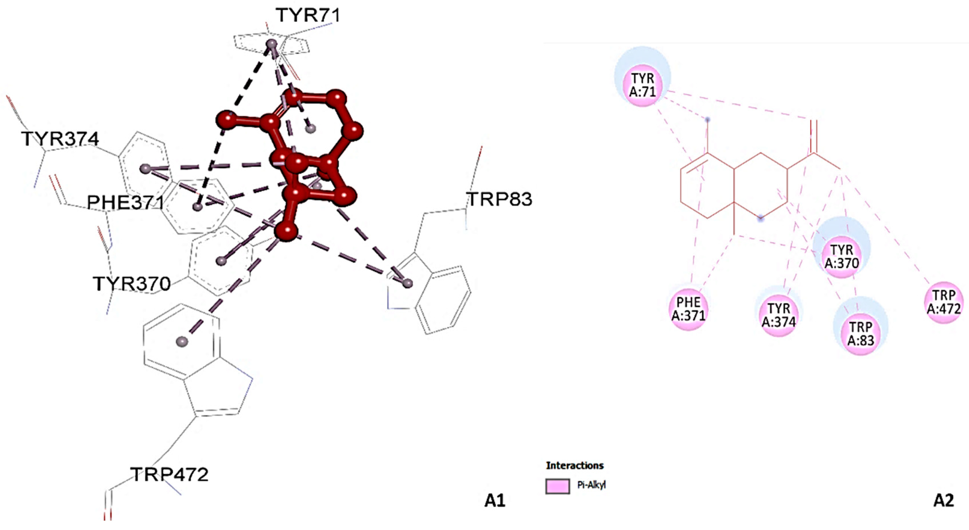 Separations 11 00097 g008