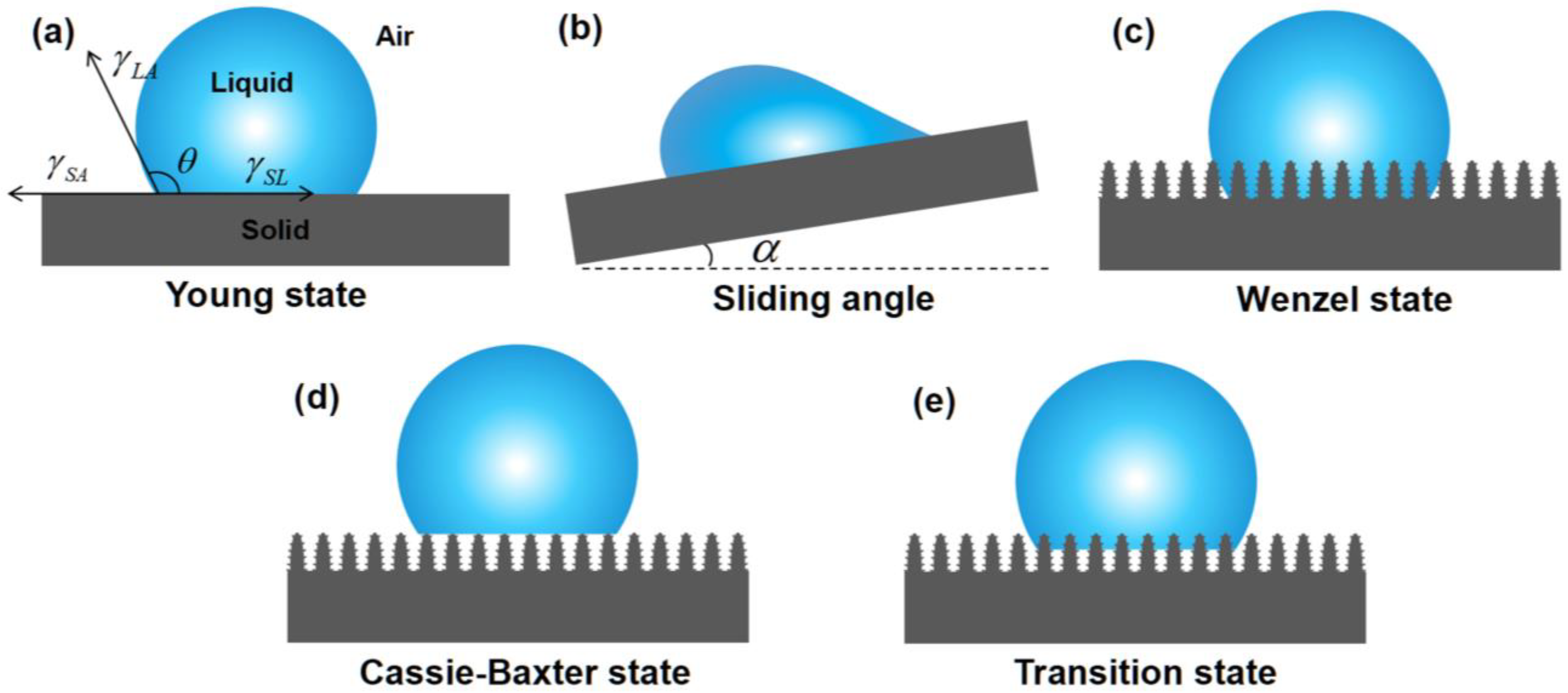 Separations 11 00126 g001