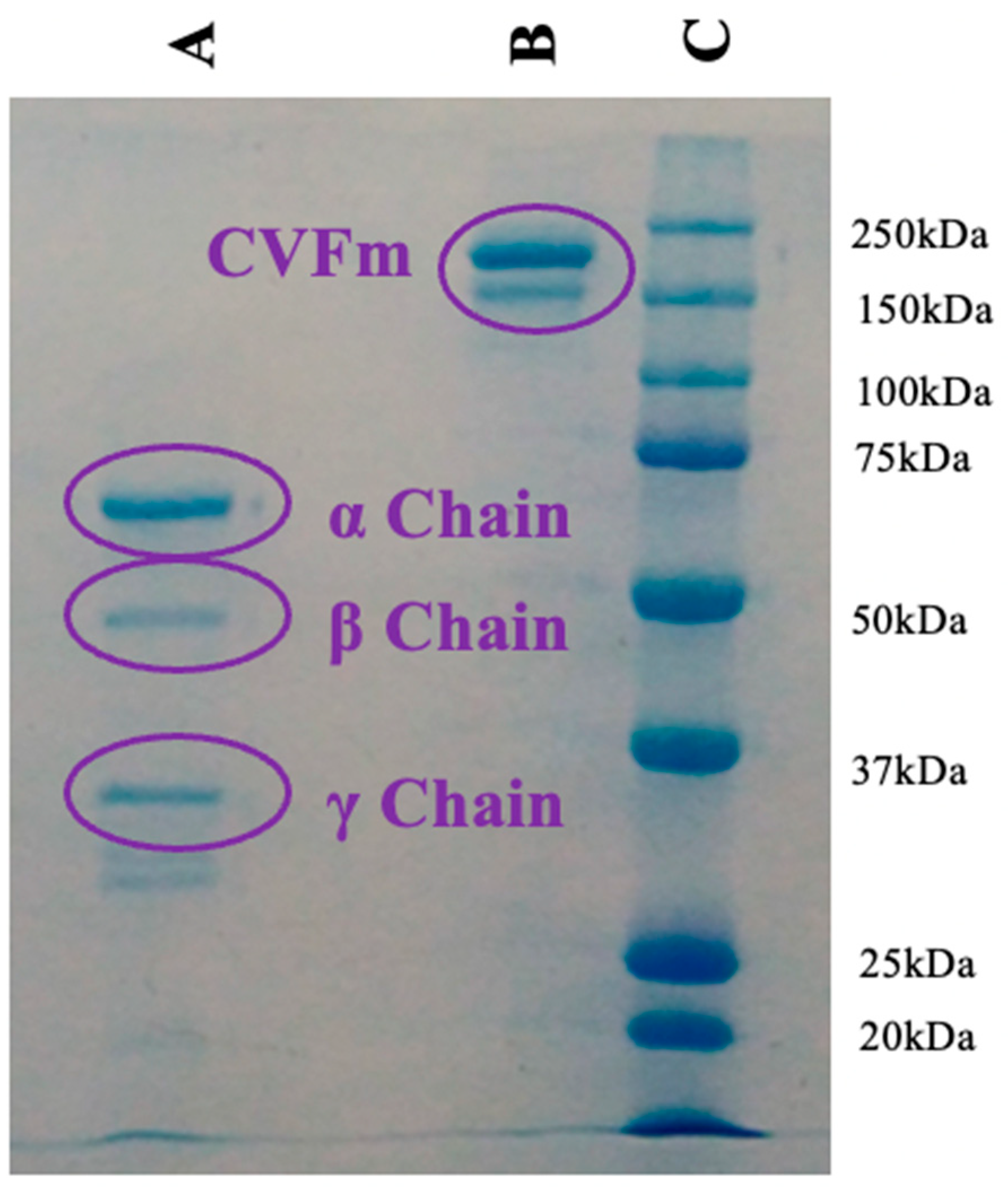 Separations 11 00179 g016