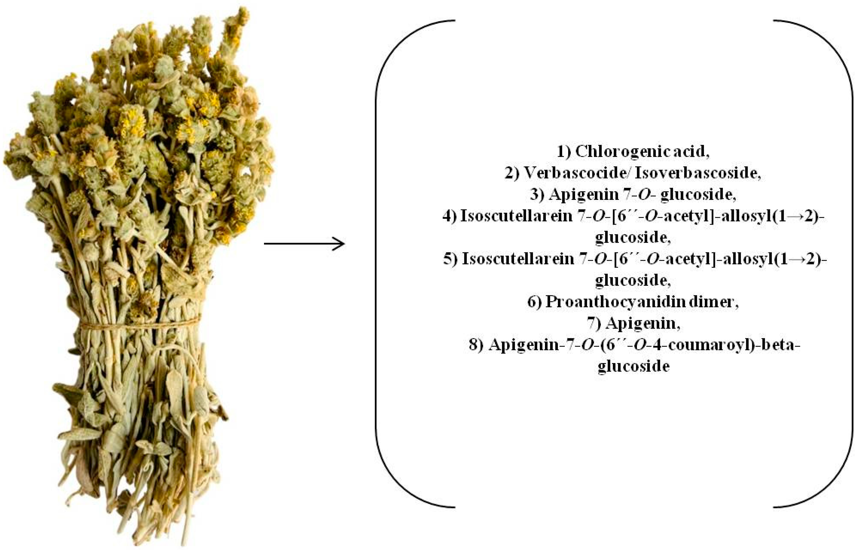 Separations 11 00229 g008