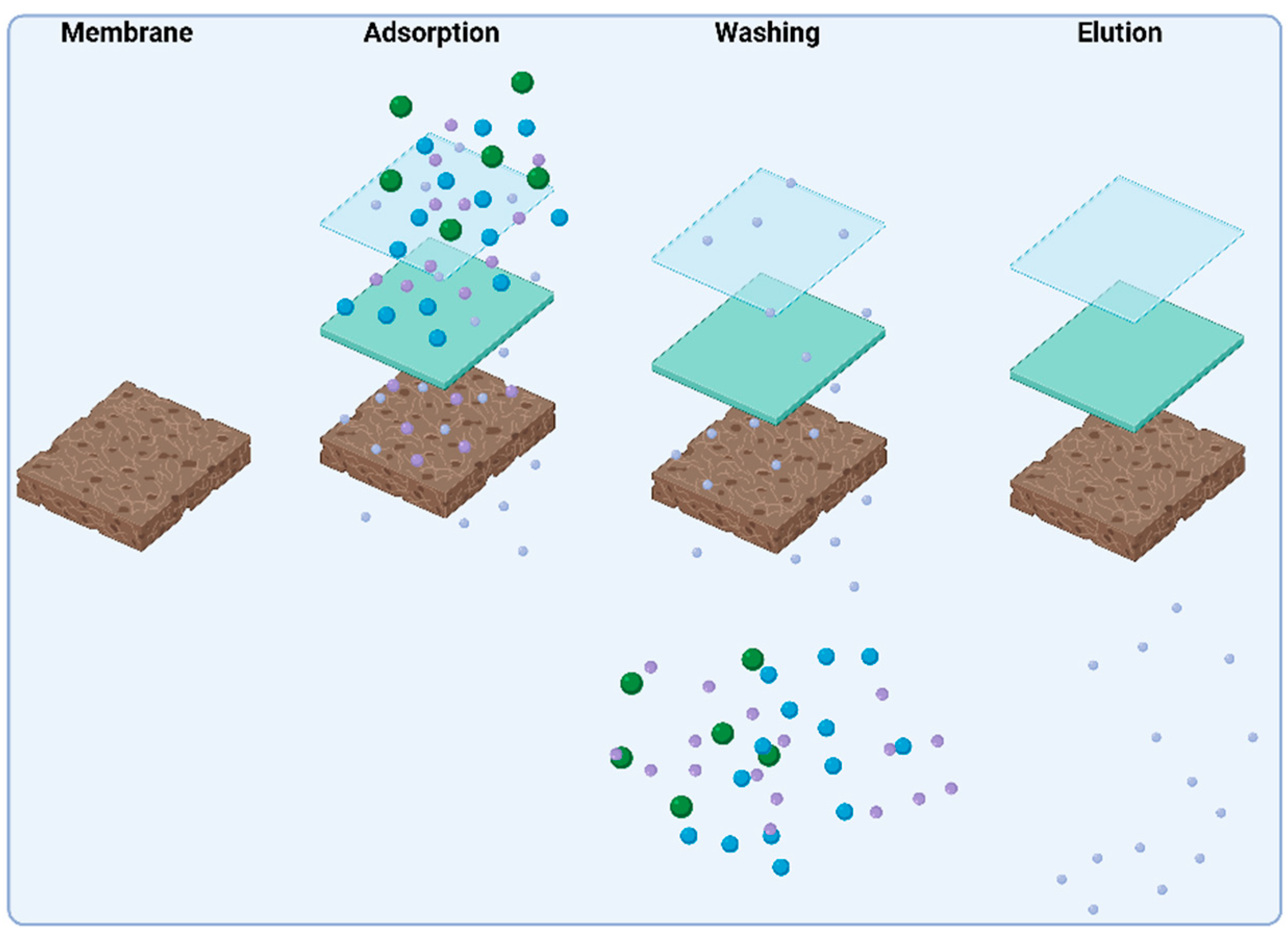 Separations 11 00233 g003