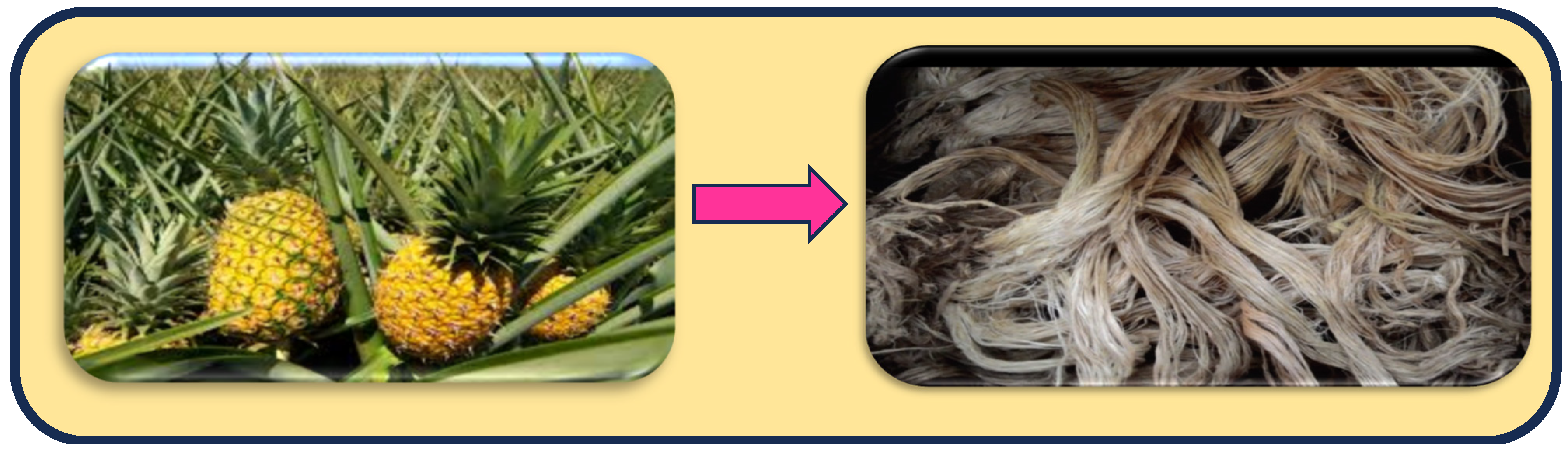 Separations 11 00245 g001 Separations 11 00245 g001