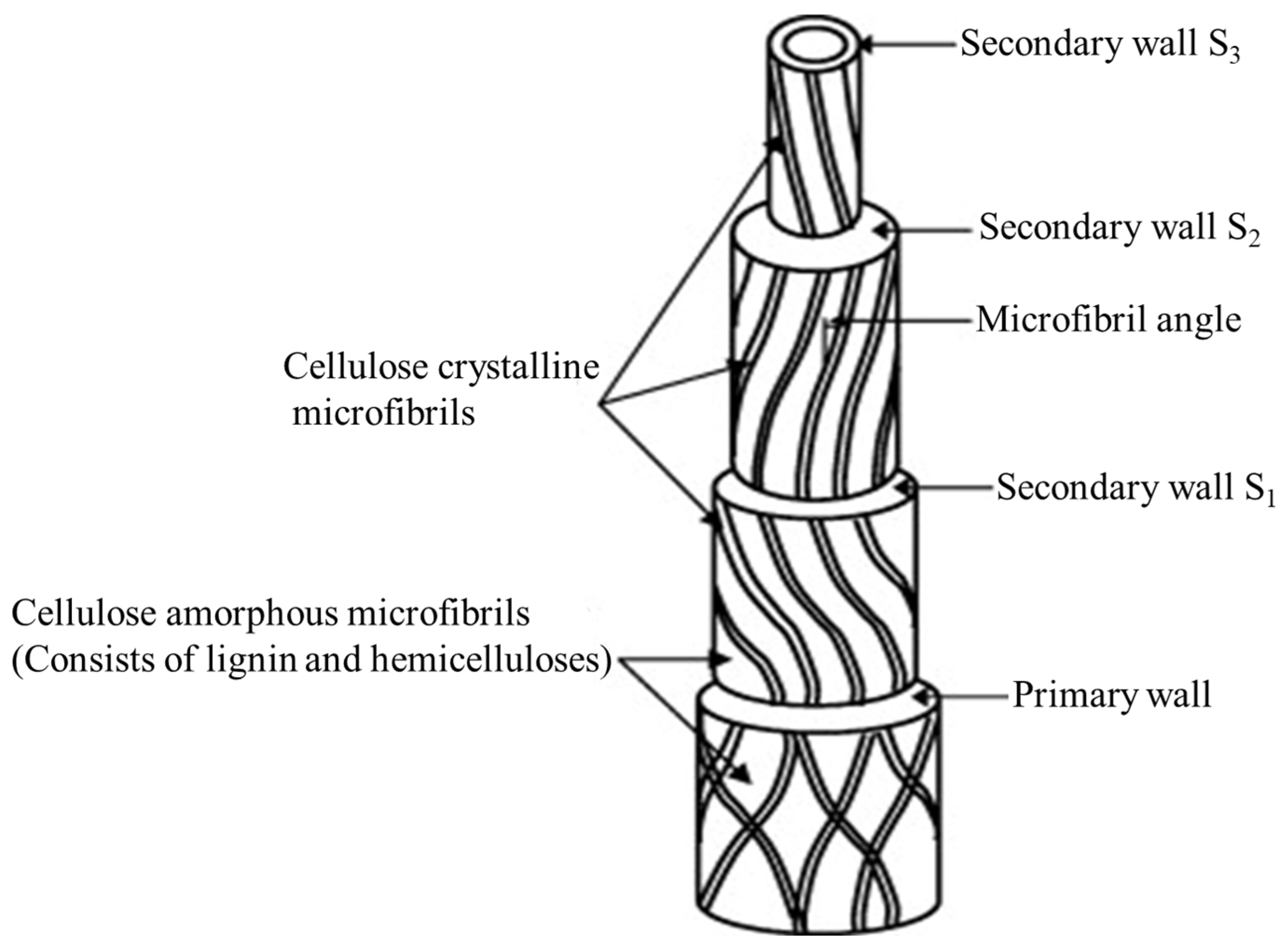Separations 11 00245 g002 Separations 11 00245 g002