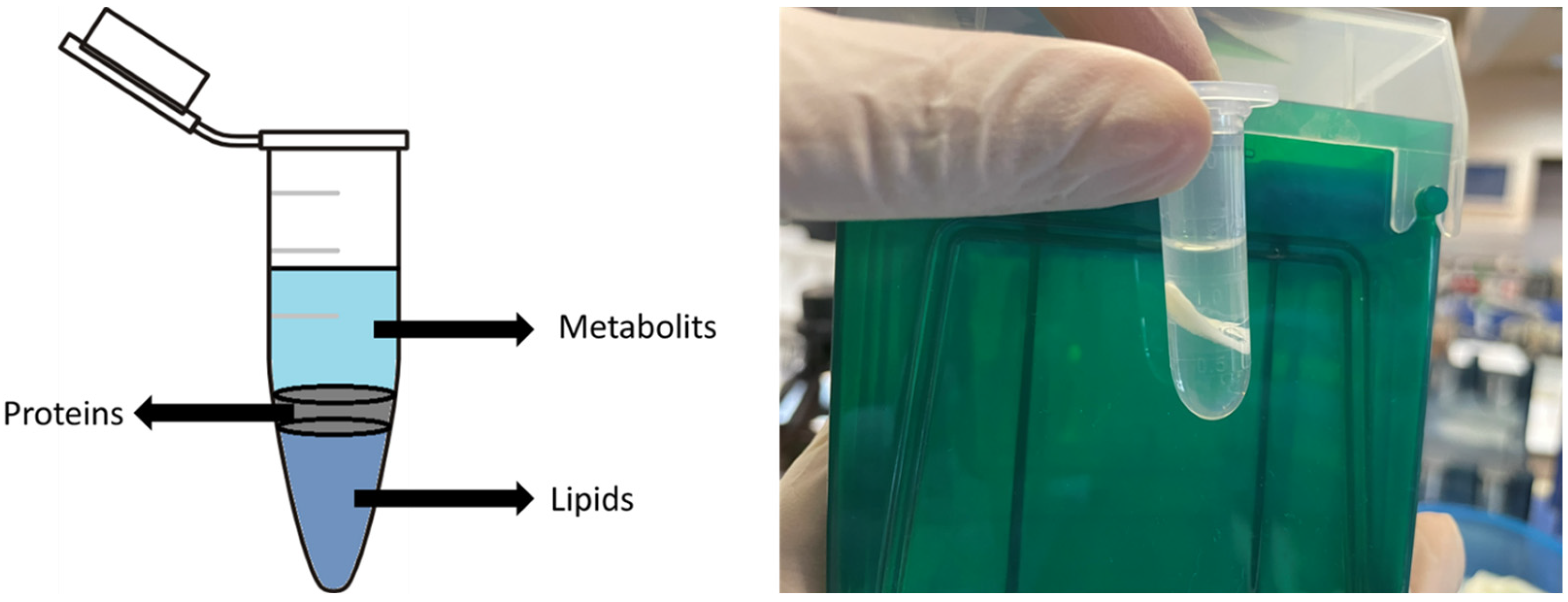 Separations 11 00262 g003