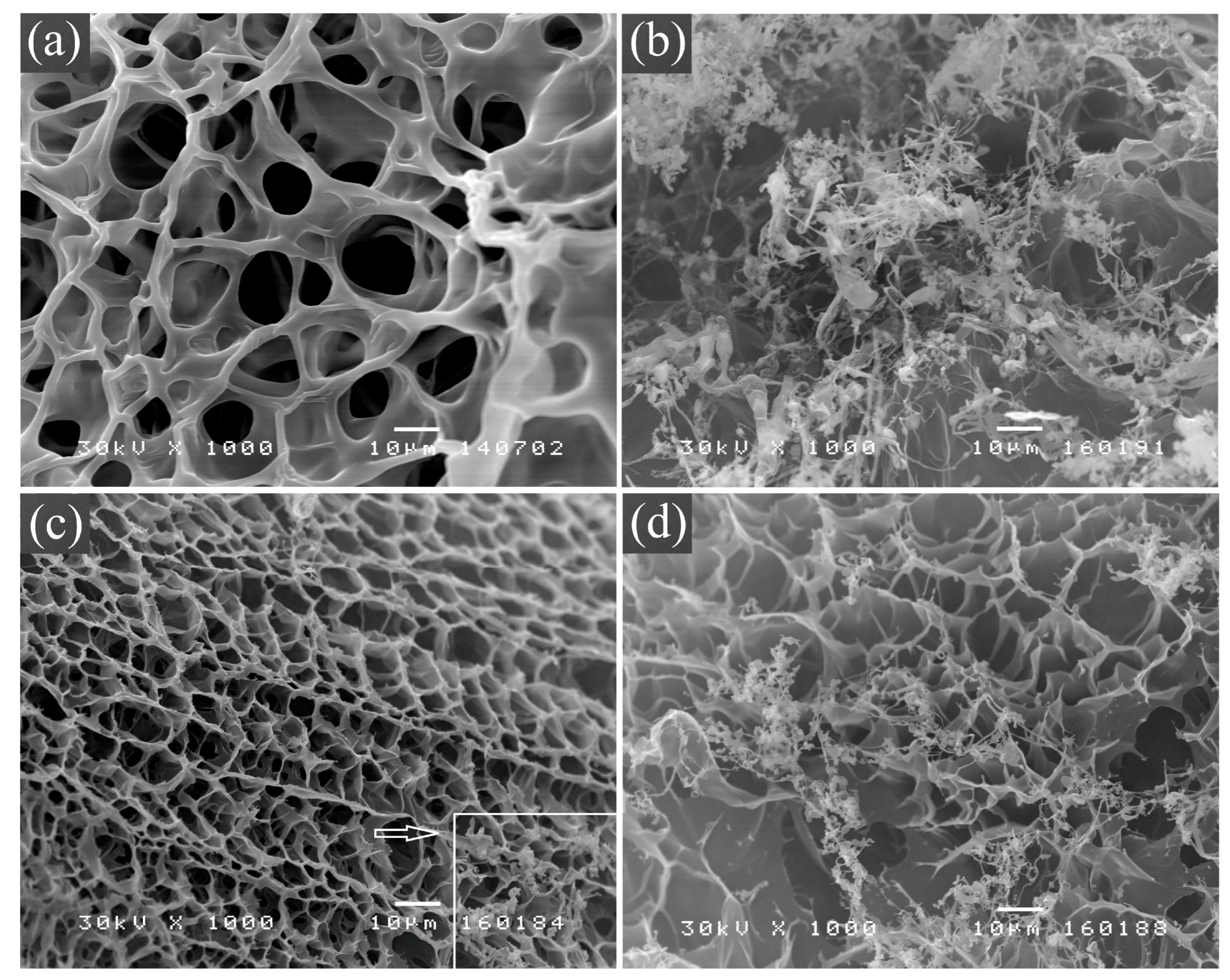 Separations 12 00100 g002