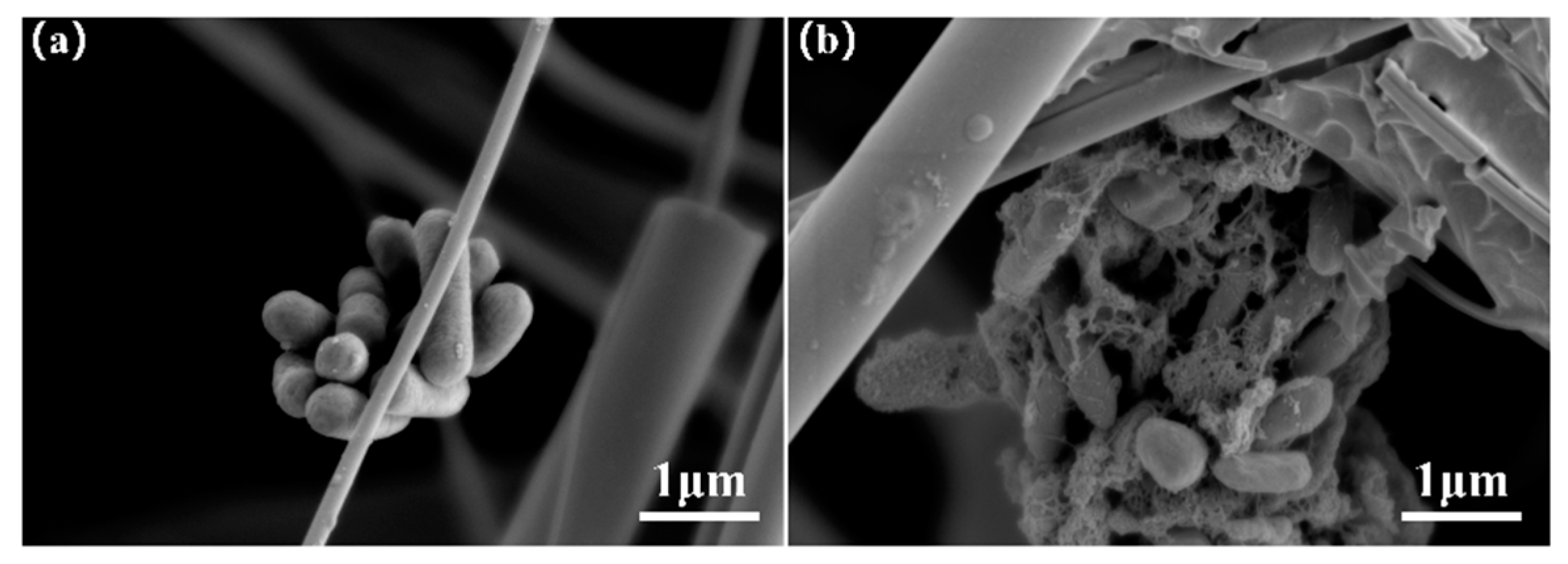 Separations 12 00110 g007 Separations 12 00110 g007