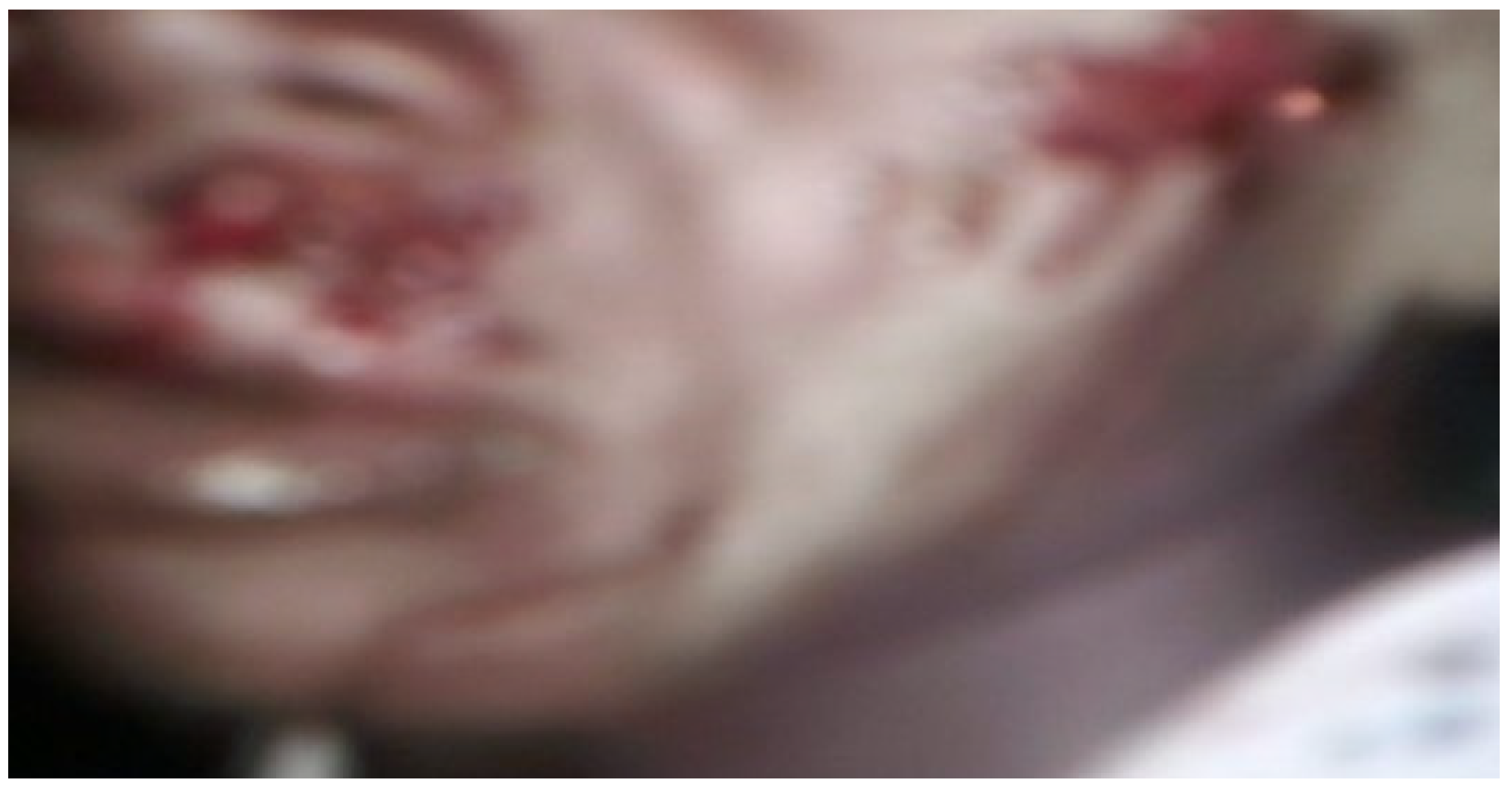 Sexes 03 00040 g010 Sexes 03 00040 g010