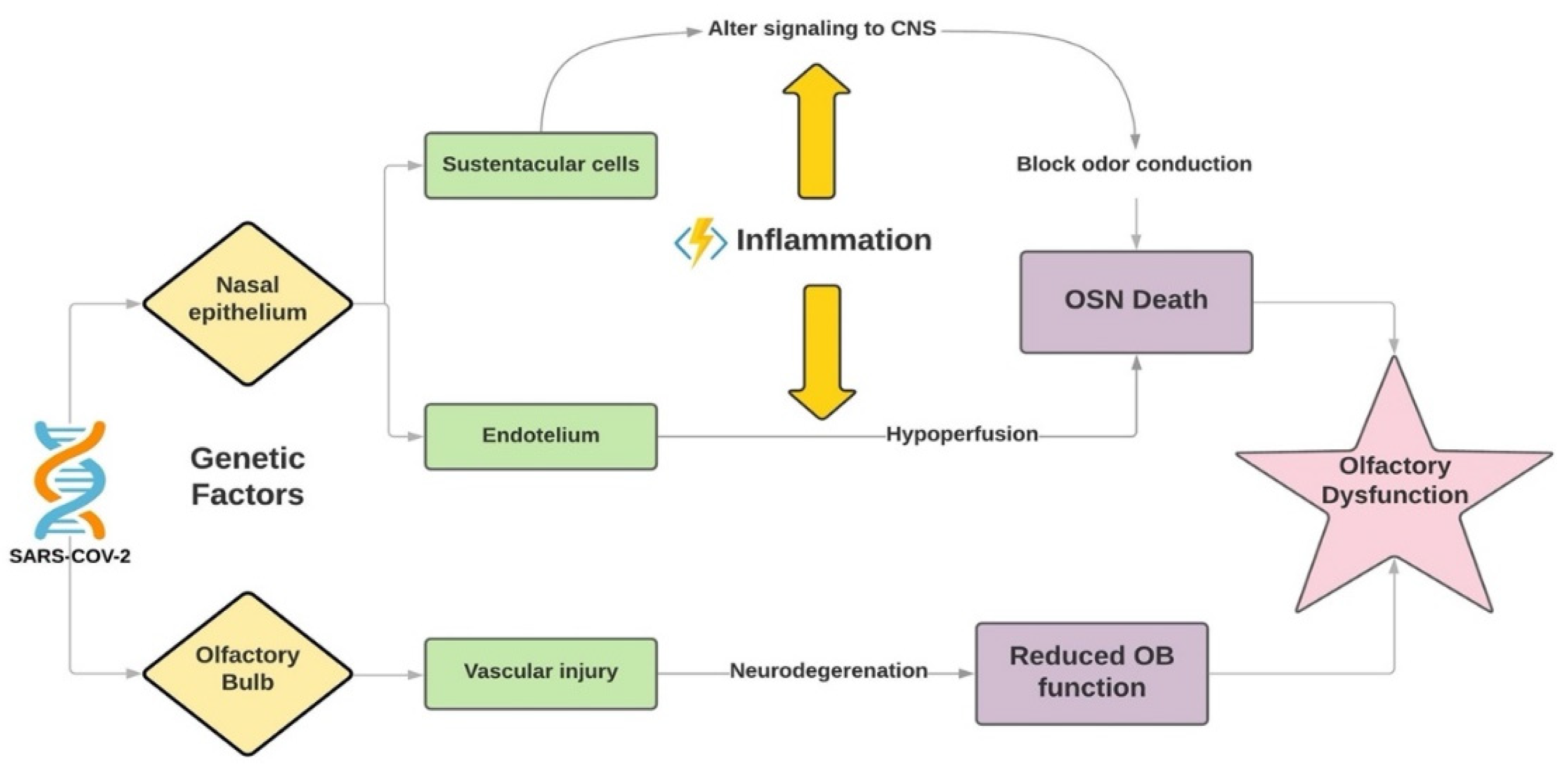 Sinusitis 05 00012 g001