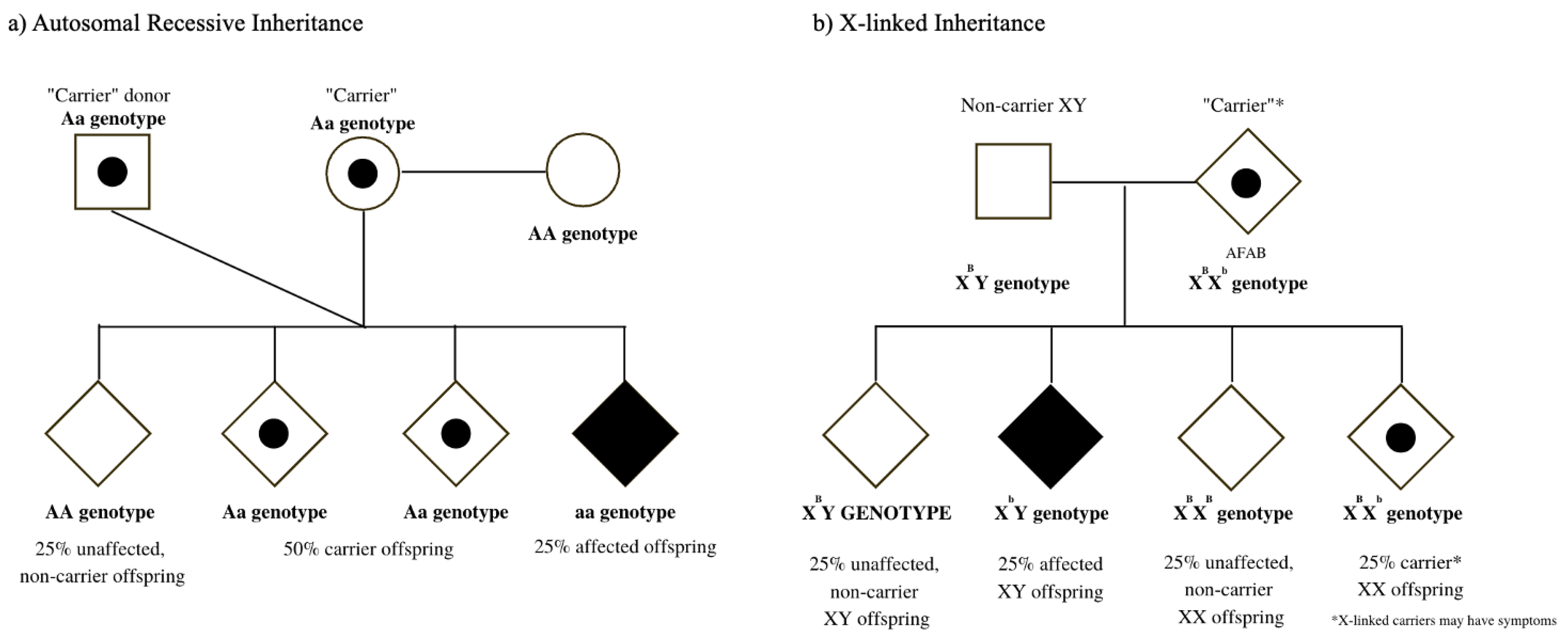 Societies 12 00033 g001 Societies 12 00033 g001