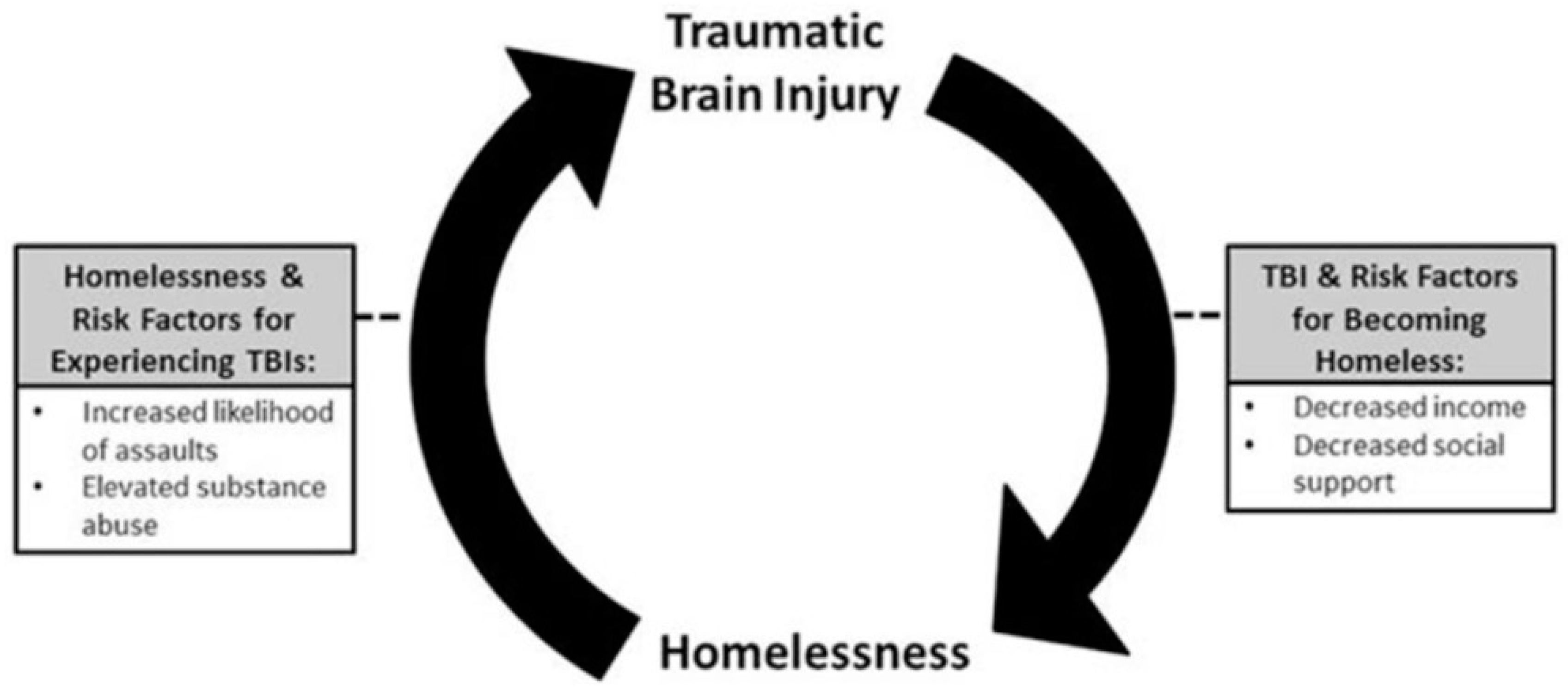 Traumatic brain injury in homeless and marginally housed individuals: a  systematic review and meta-analysis - The Lancet Public Health
