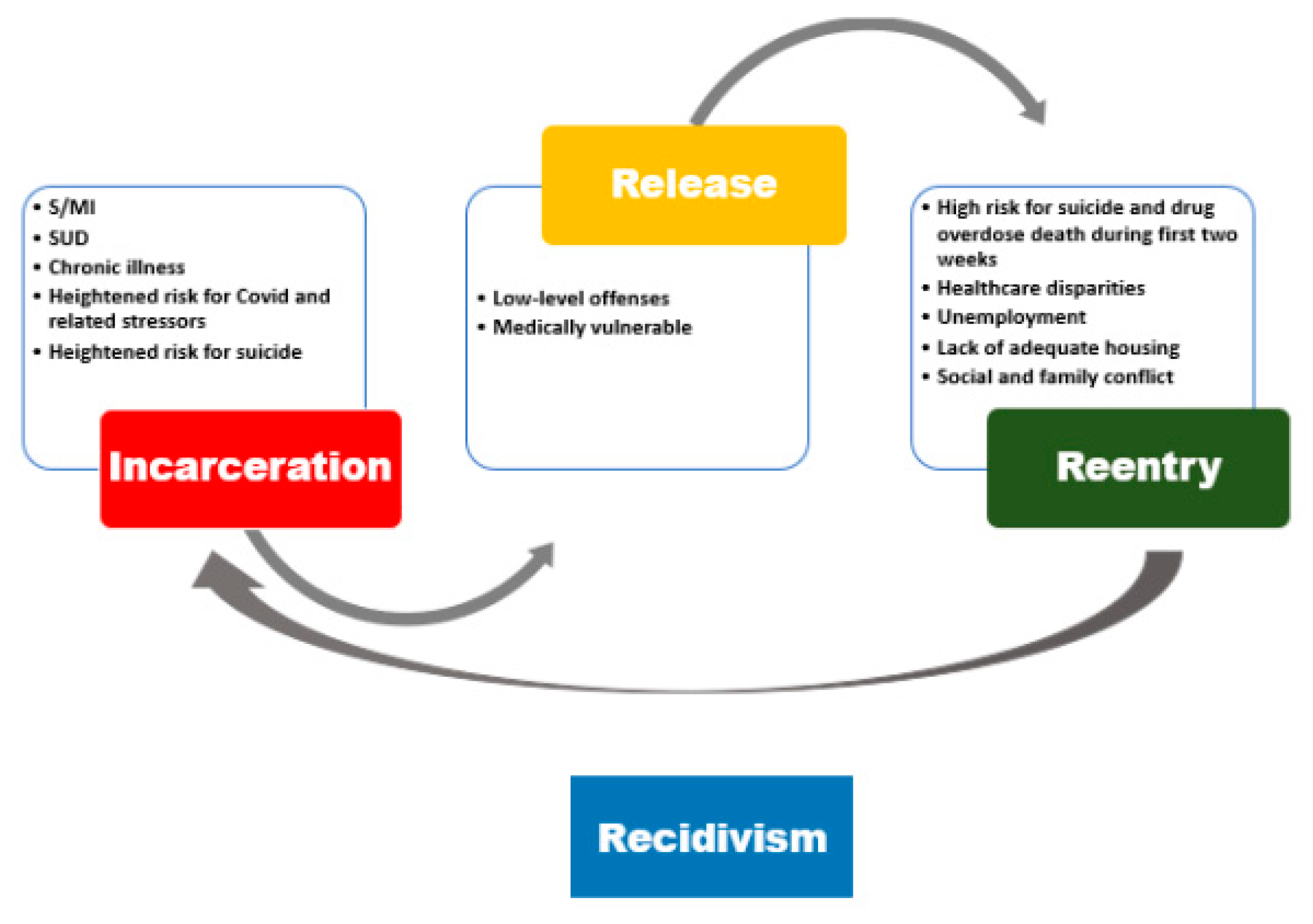 On Life Support: Public Health in the Age of Mass Incarceration, David  Cloud, Vera Institute of Justice (2014)