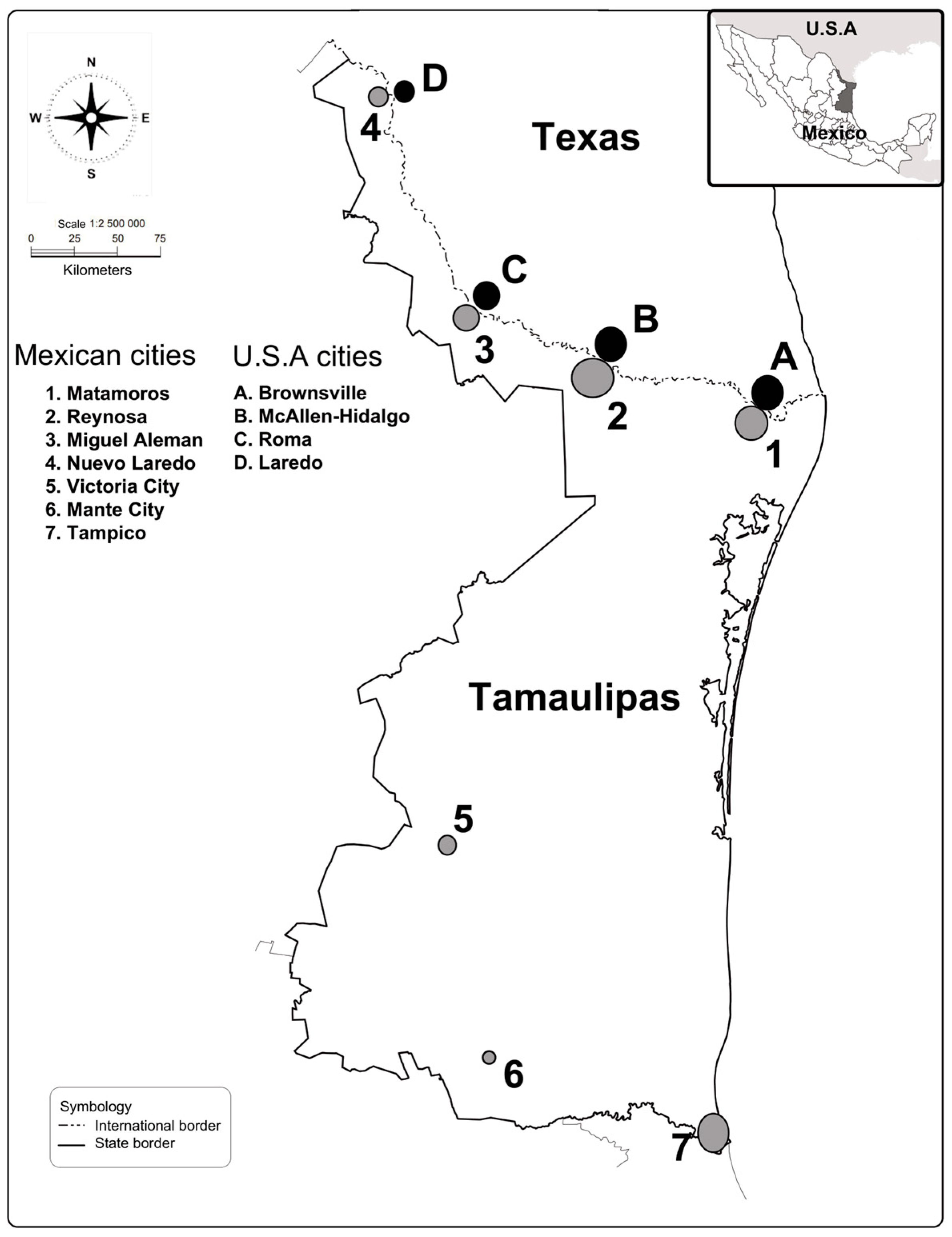 Socsci 13 00532 g001 Socsci 13 00532 g001