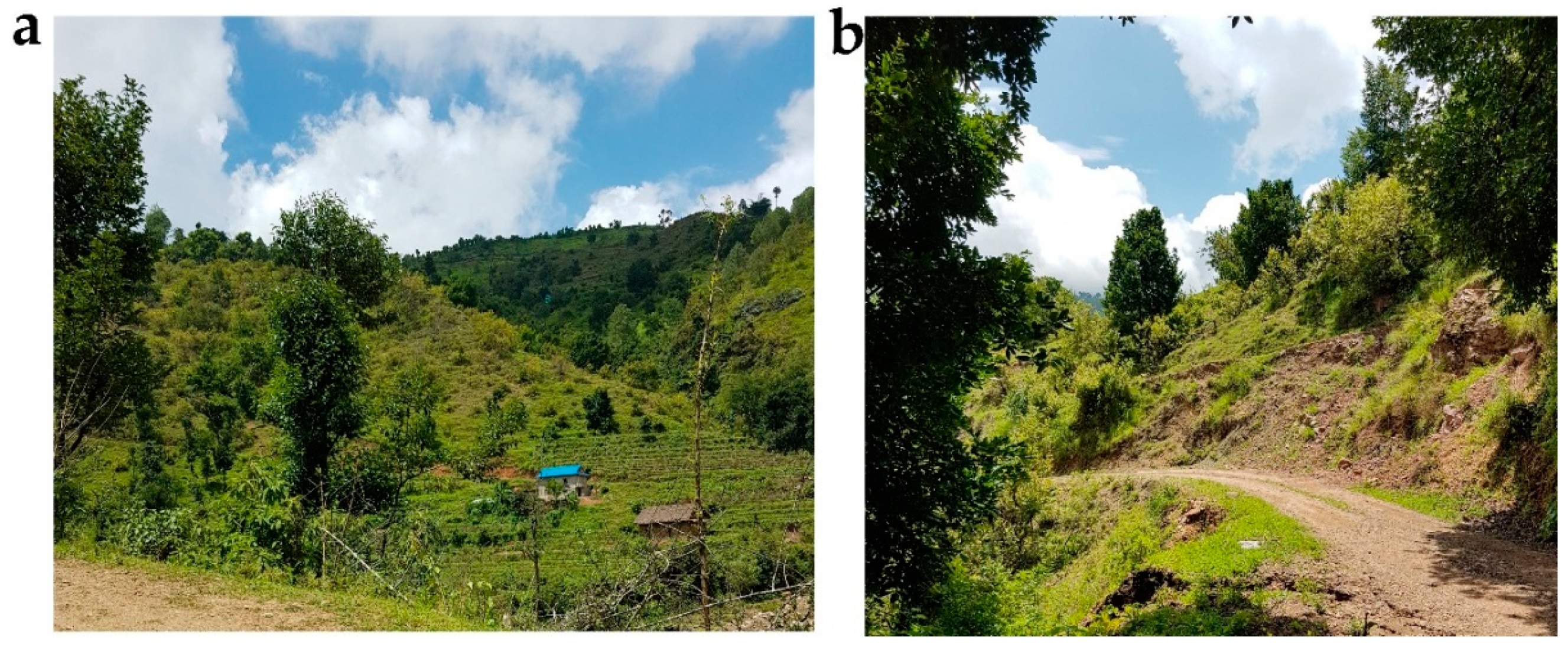 Soilsystems 03 00012 g002