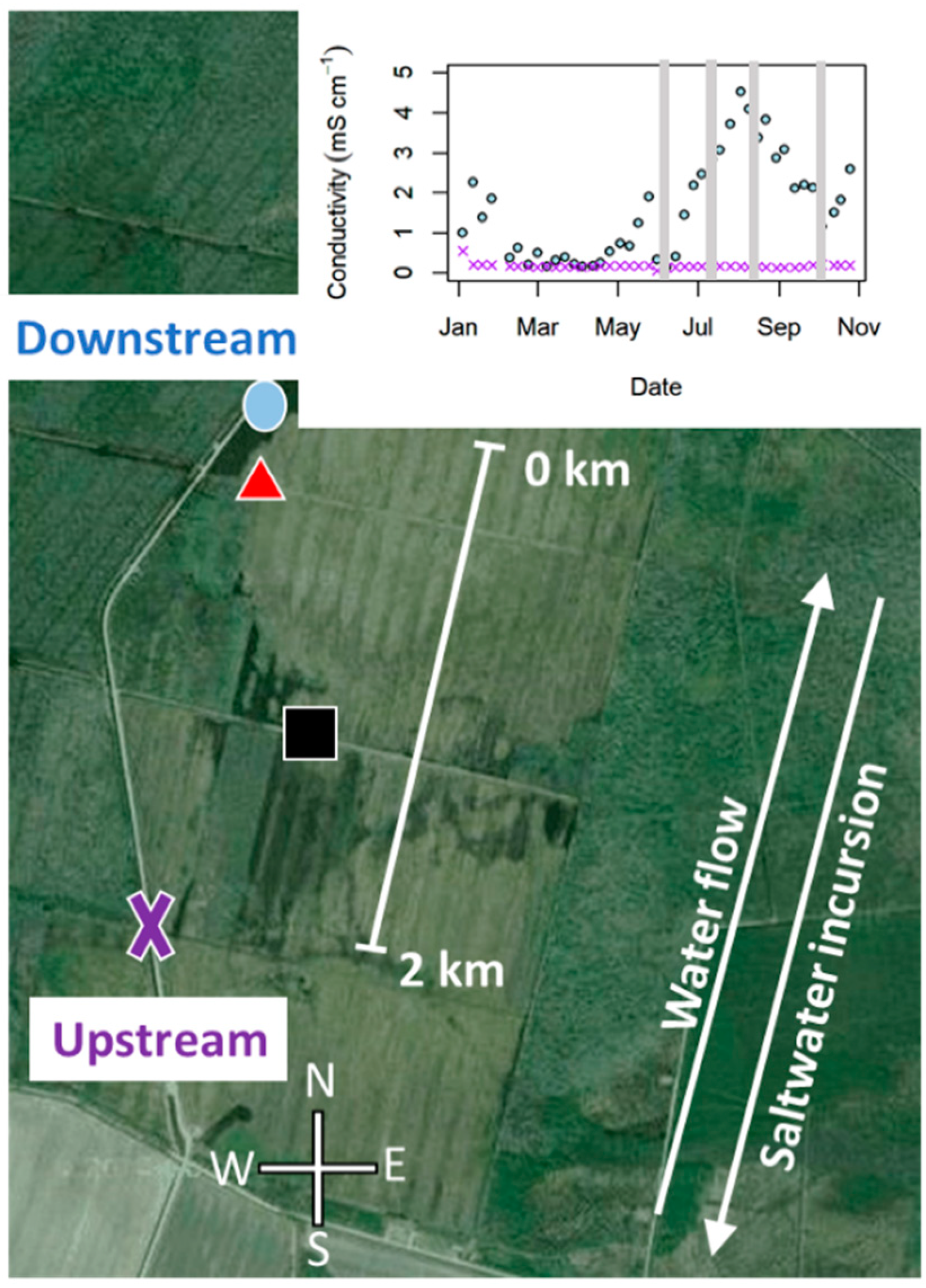 Soilsystems 03 00025 g001