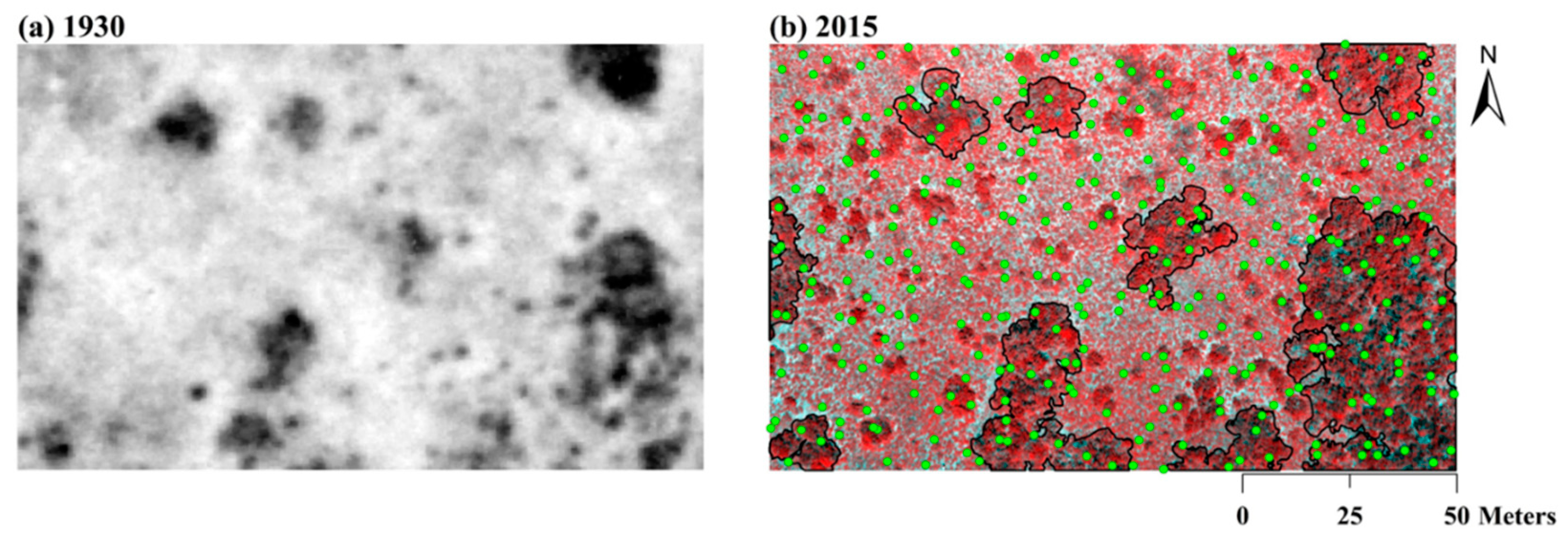Soilsystems 03 00073 g001 Soilsystems 03 00073 g001
