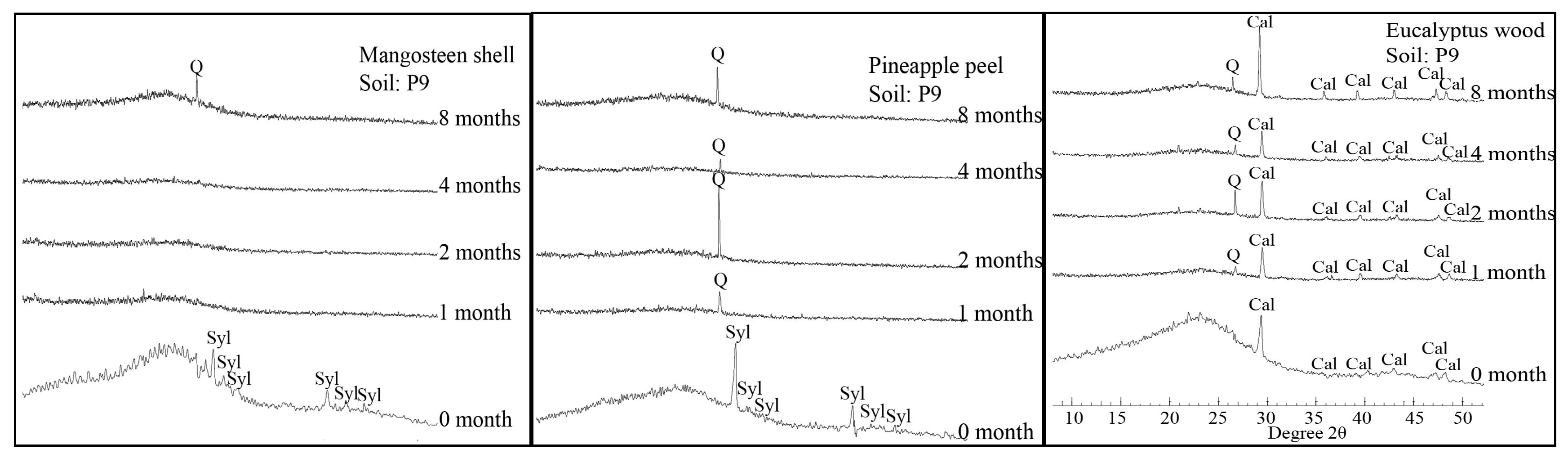 Soilsystems 03 00075 g001