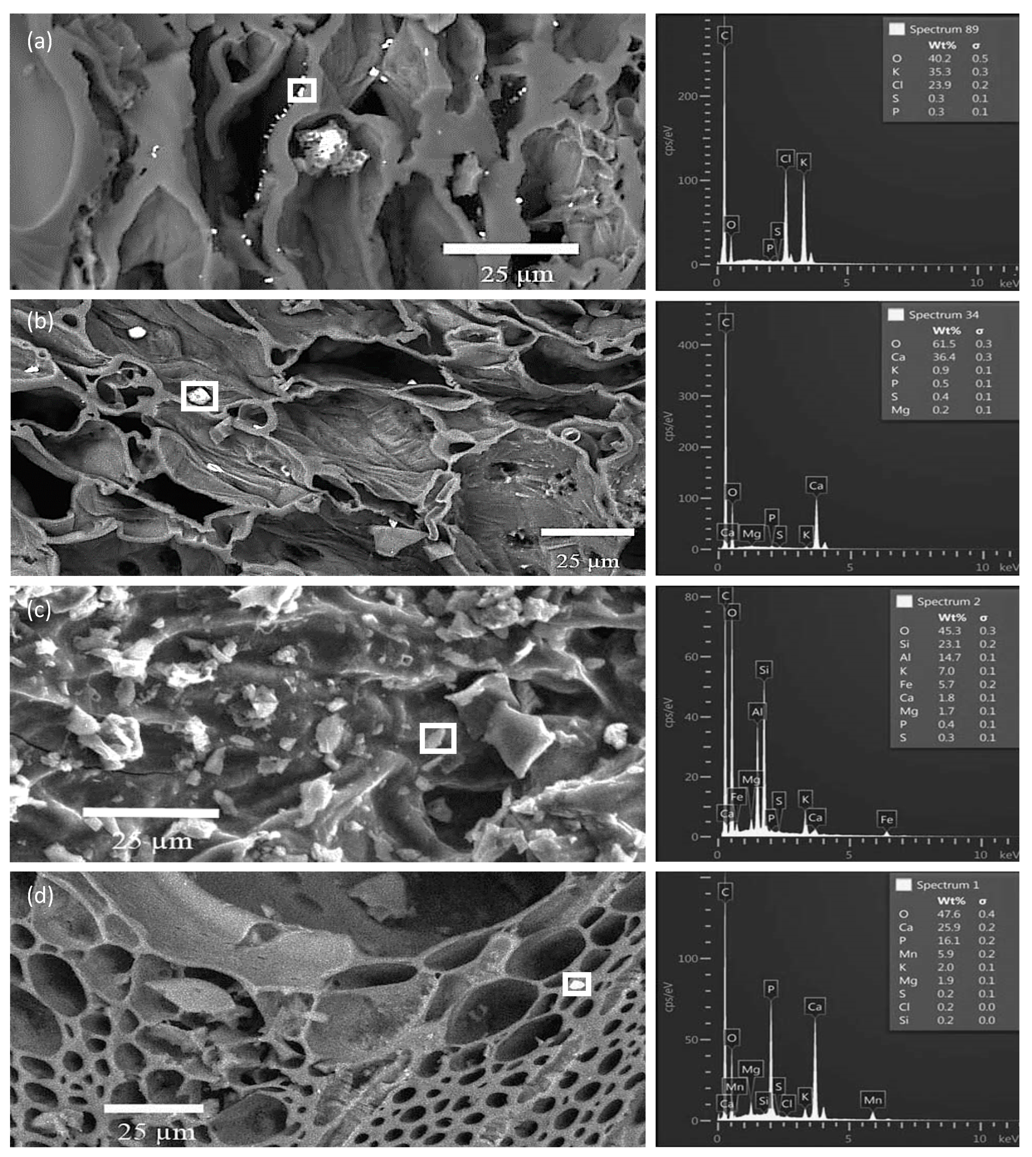 Soilsystems 03 00075 g006