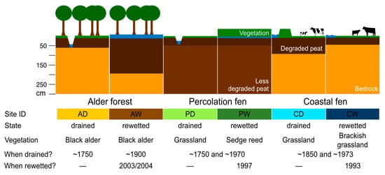 Soil Syst. | Free Full-Text | From Understanding to Sustainable ...