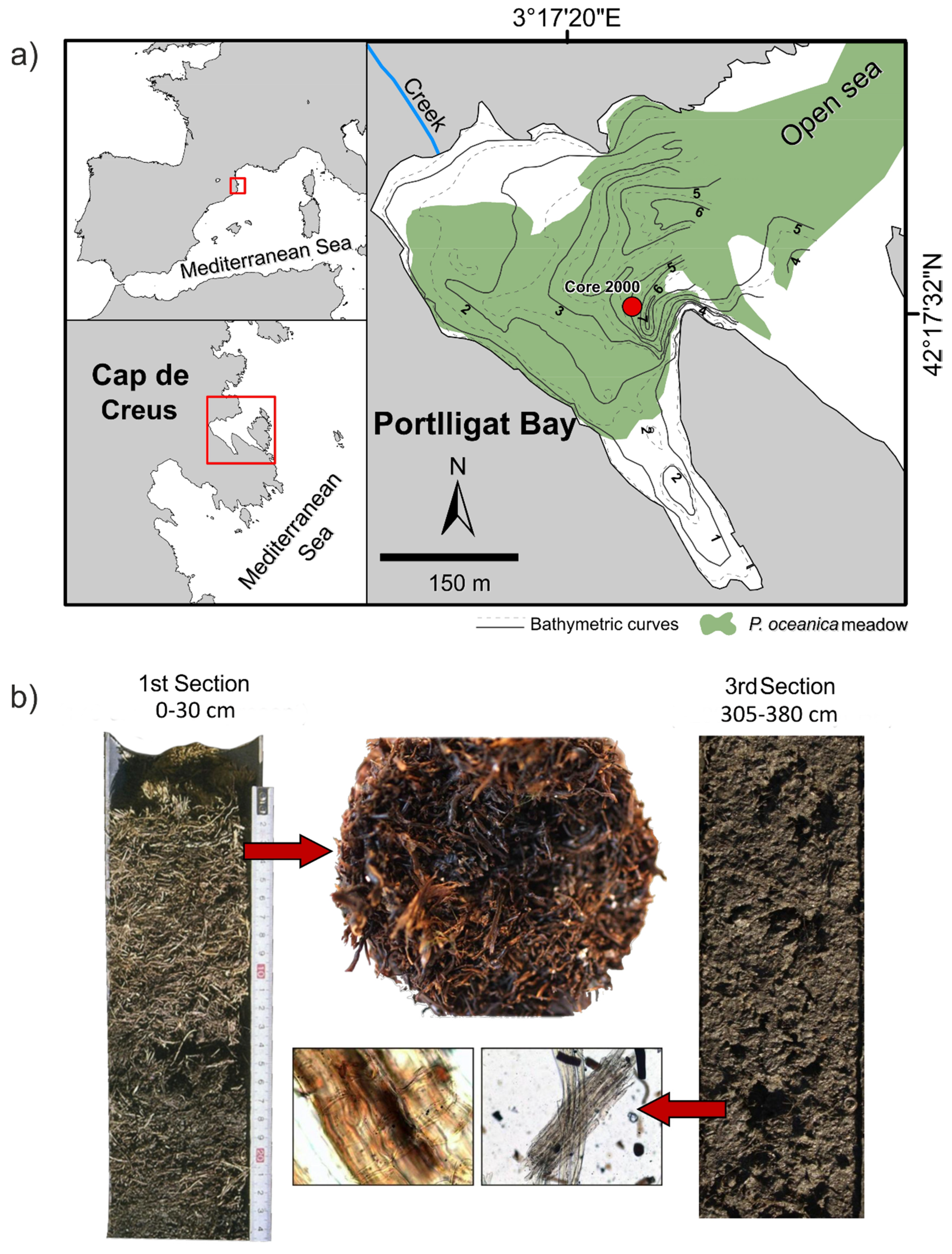 Soilsystems 04 00018 g001