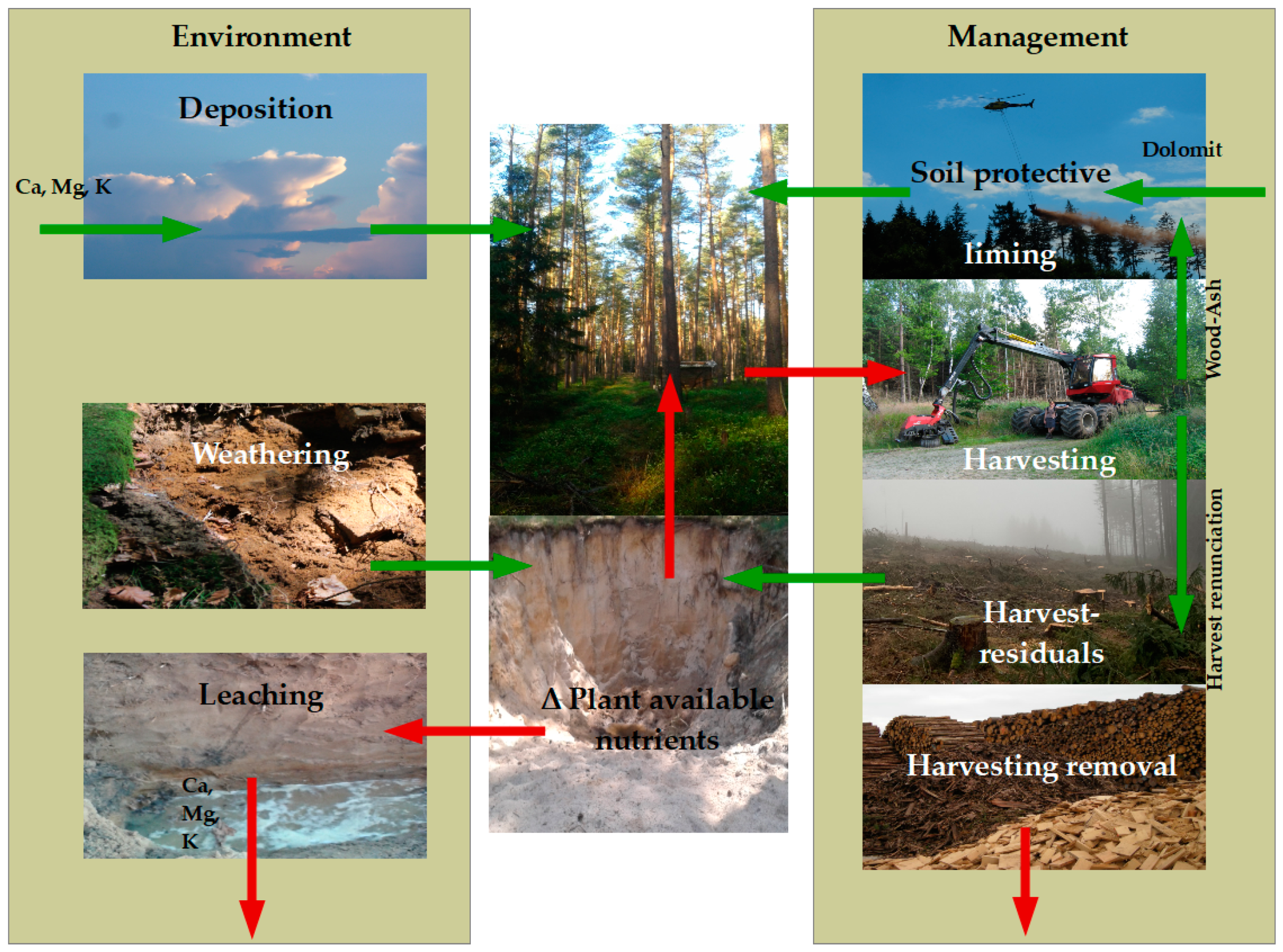 Soil Systems | Free Full-Text | Merits and Limitations of Element Balances  as a Forest Planning Tool for Harvest Intensities and Sustainable Nutrient  Management&mdash;A Case Study from Germany | HTML