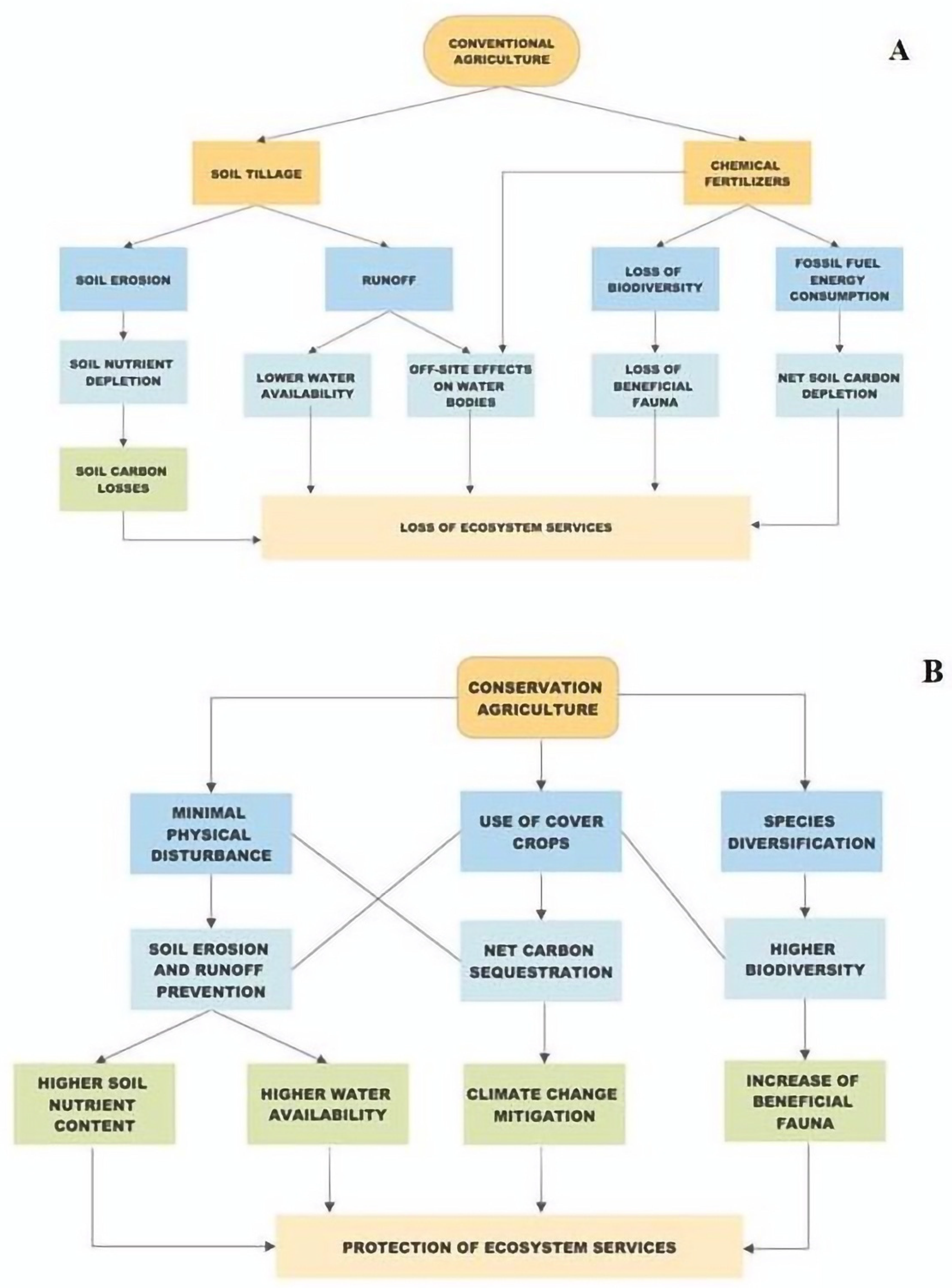 Soilsystems 06 00087 g002 Soilsystems 06 00087 g002