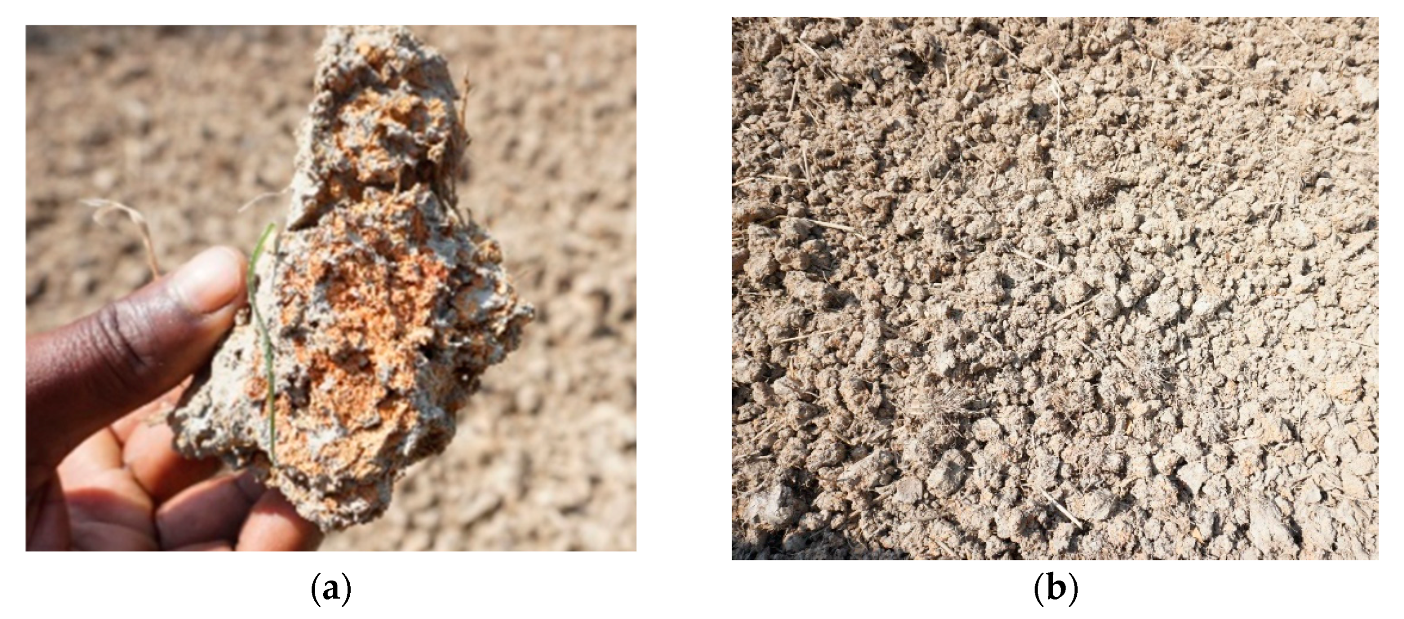 Soilsystems 06 00095 g002 Soilsystems 06 00095 g002