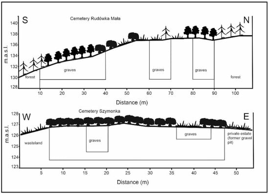 Soil Systems | Free Full-Text | Chemical Composition of Tissues of ...