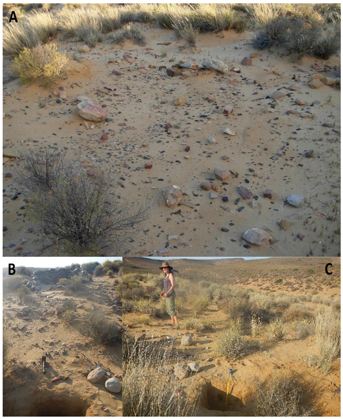 Soilsystems 07 00025 g016 Soilsystems 07 00025 g016