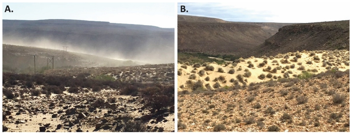 Soilsystems 07 00025 g022 Soilsystems 07 00025 g022