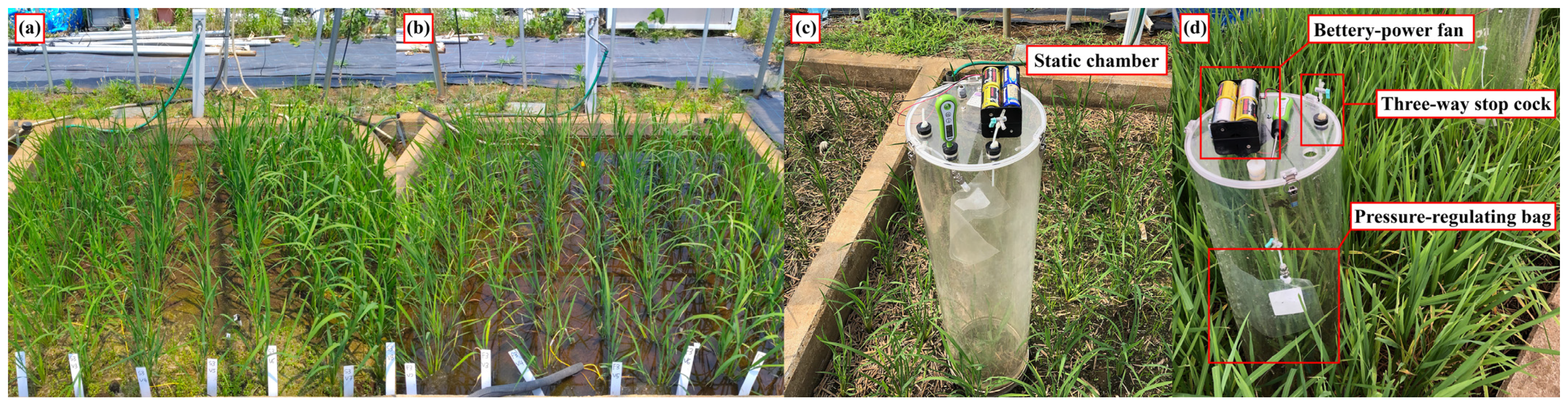 Soilsystems 07 00089 g001