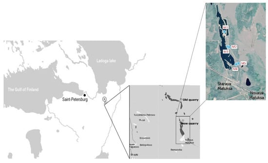 Plot of dD vs d 18 O for clay separates taken from the district-scale