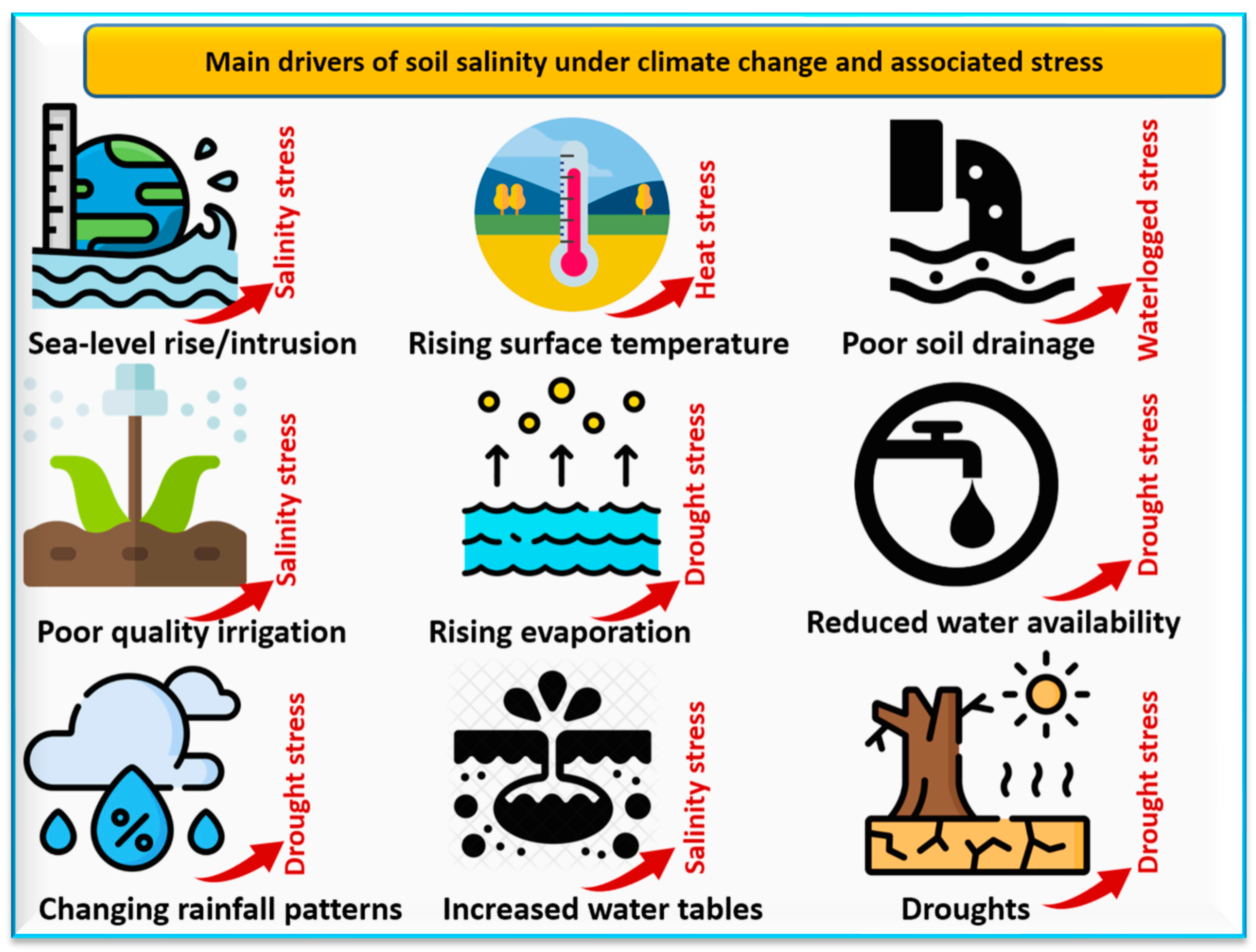 Soilsystems 08 00011 g002