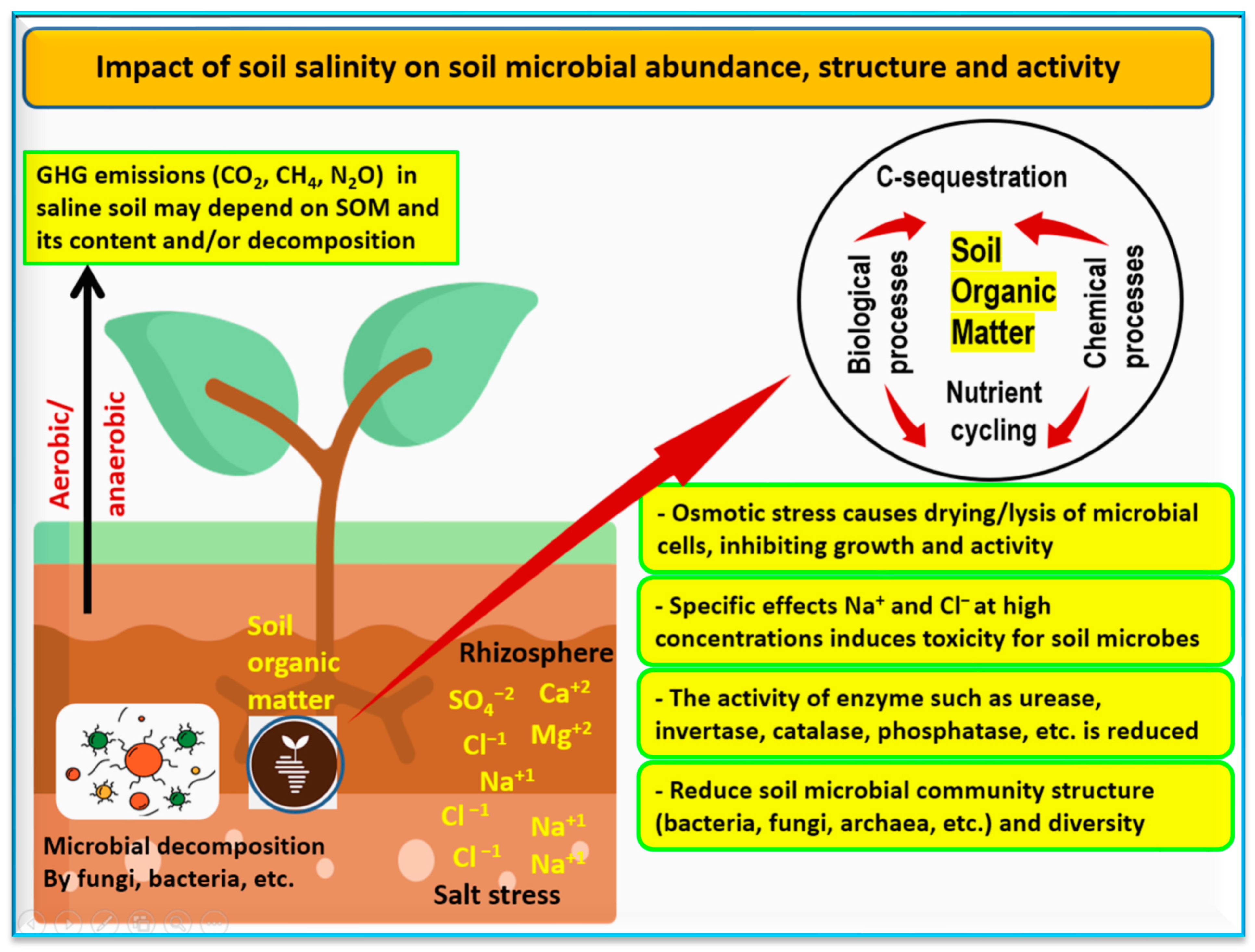 Soilsystems 08 00011 g005