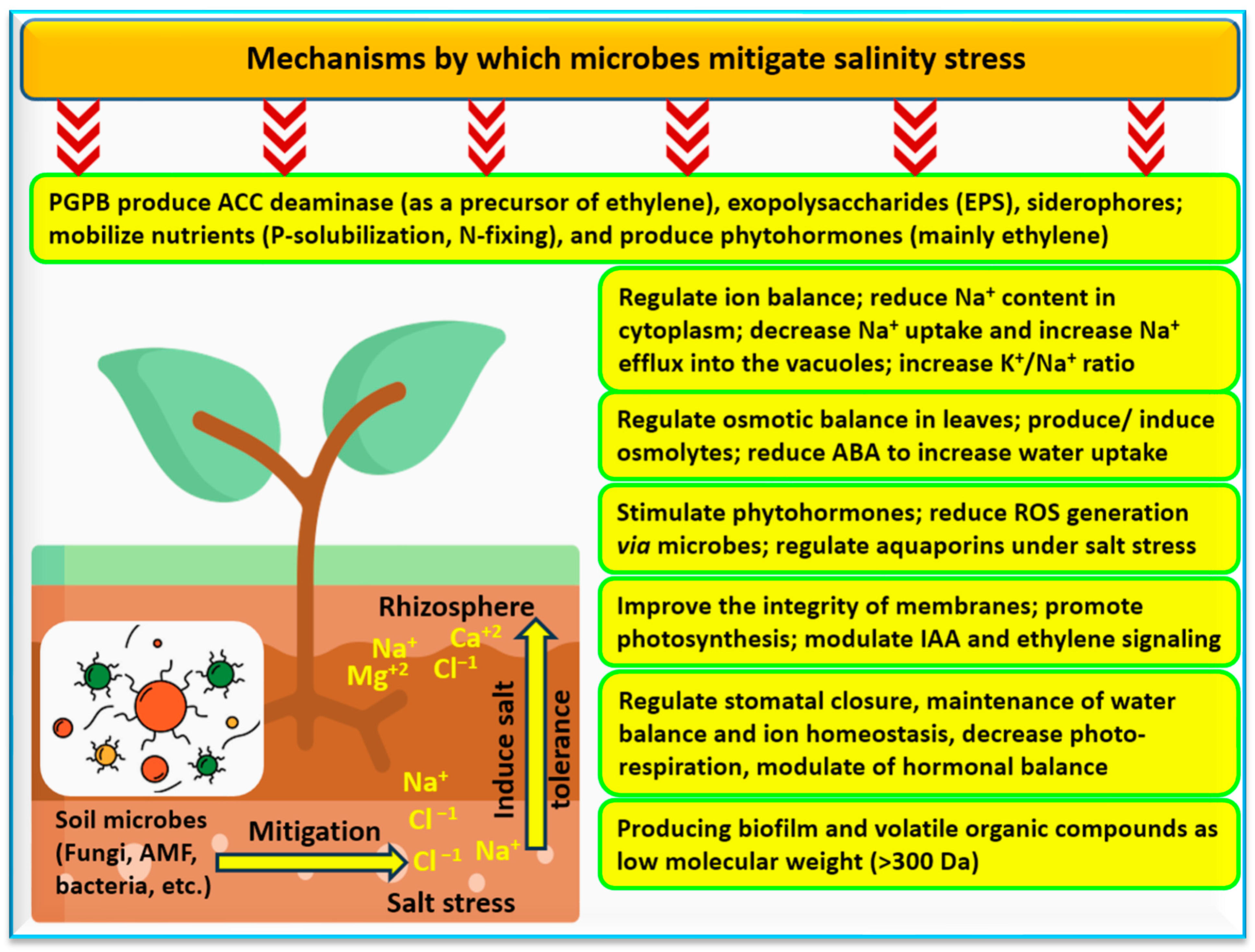 Soilsystems 08 00011 g008