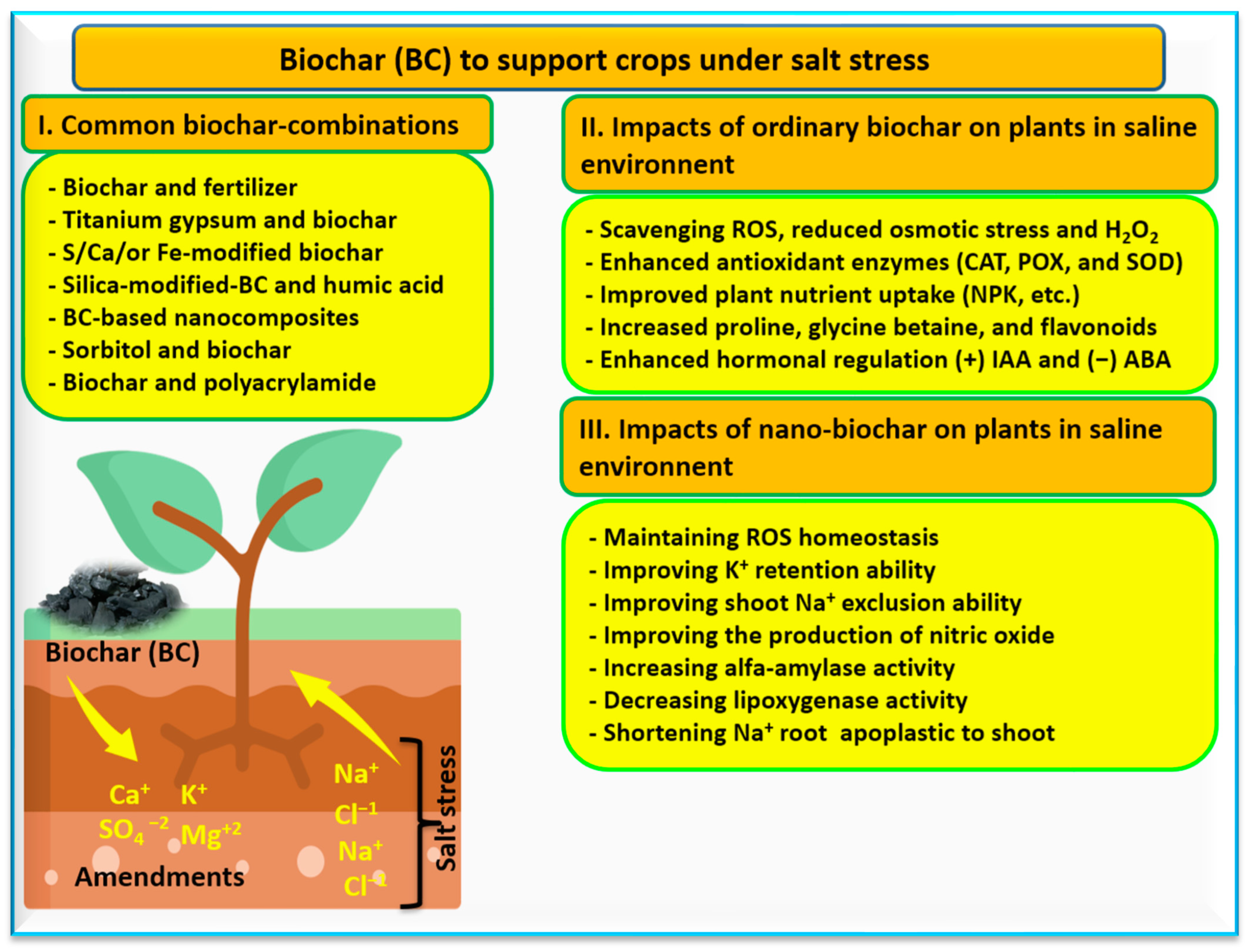Soilsystems 08 00011 g009