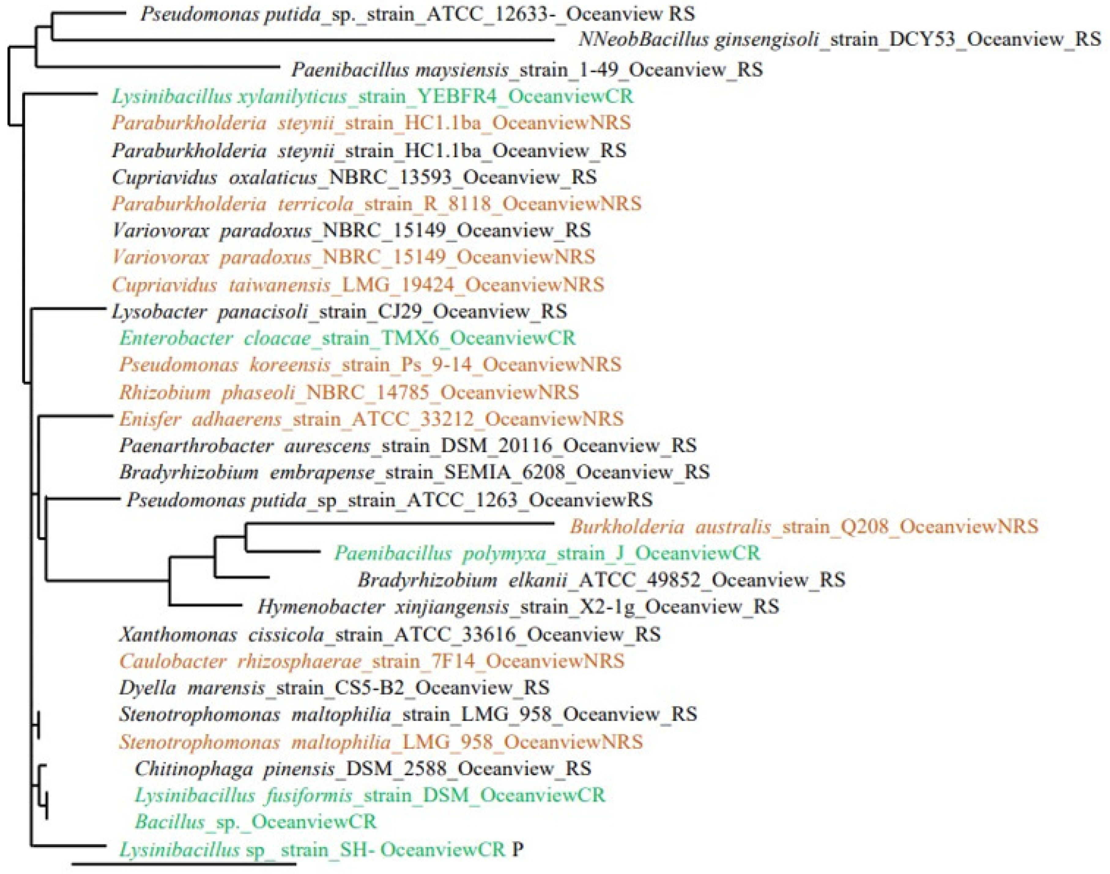 Soilsystems 08 00021 g001