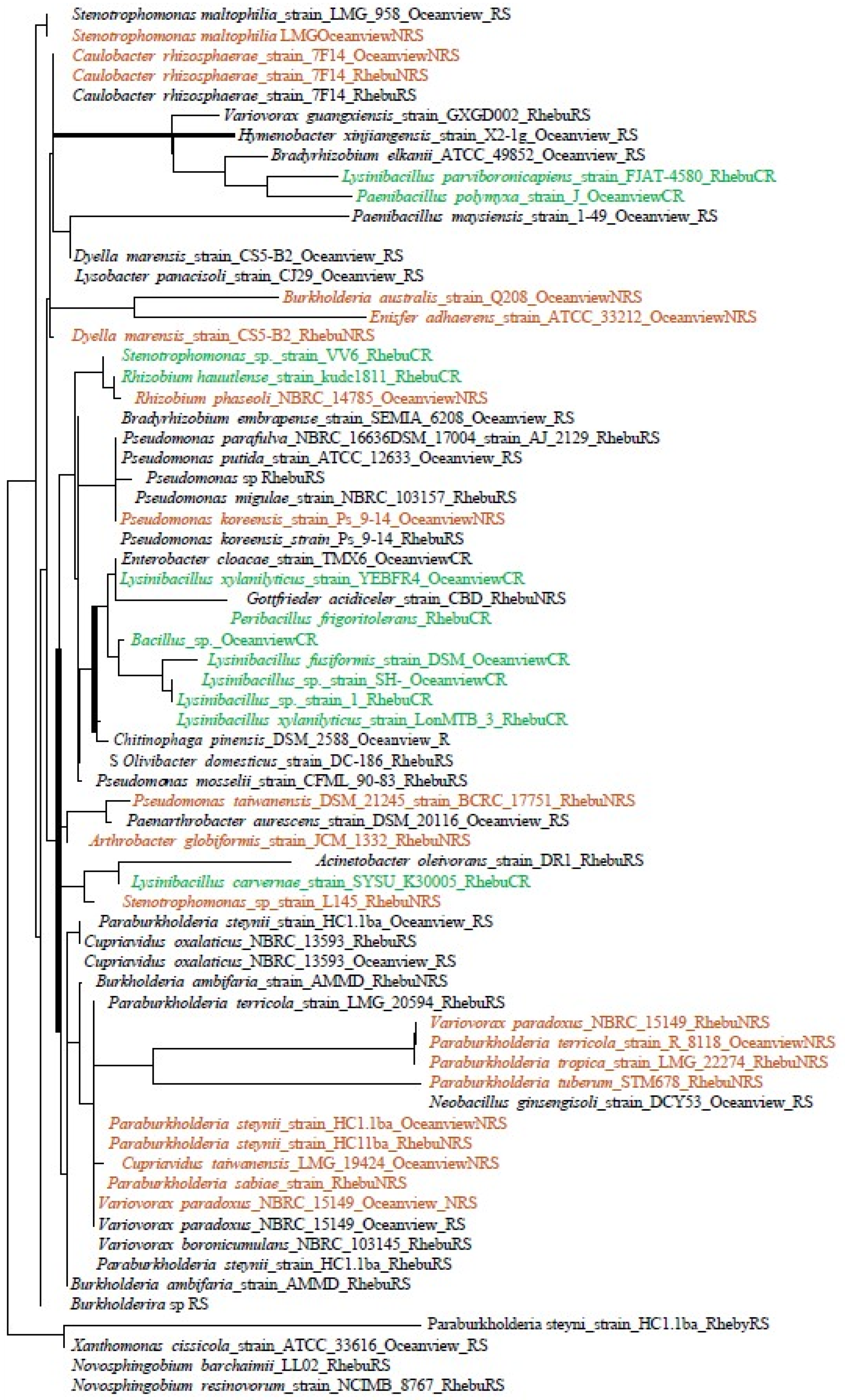 Soilsystems 08 00021 g003