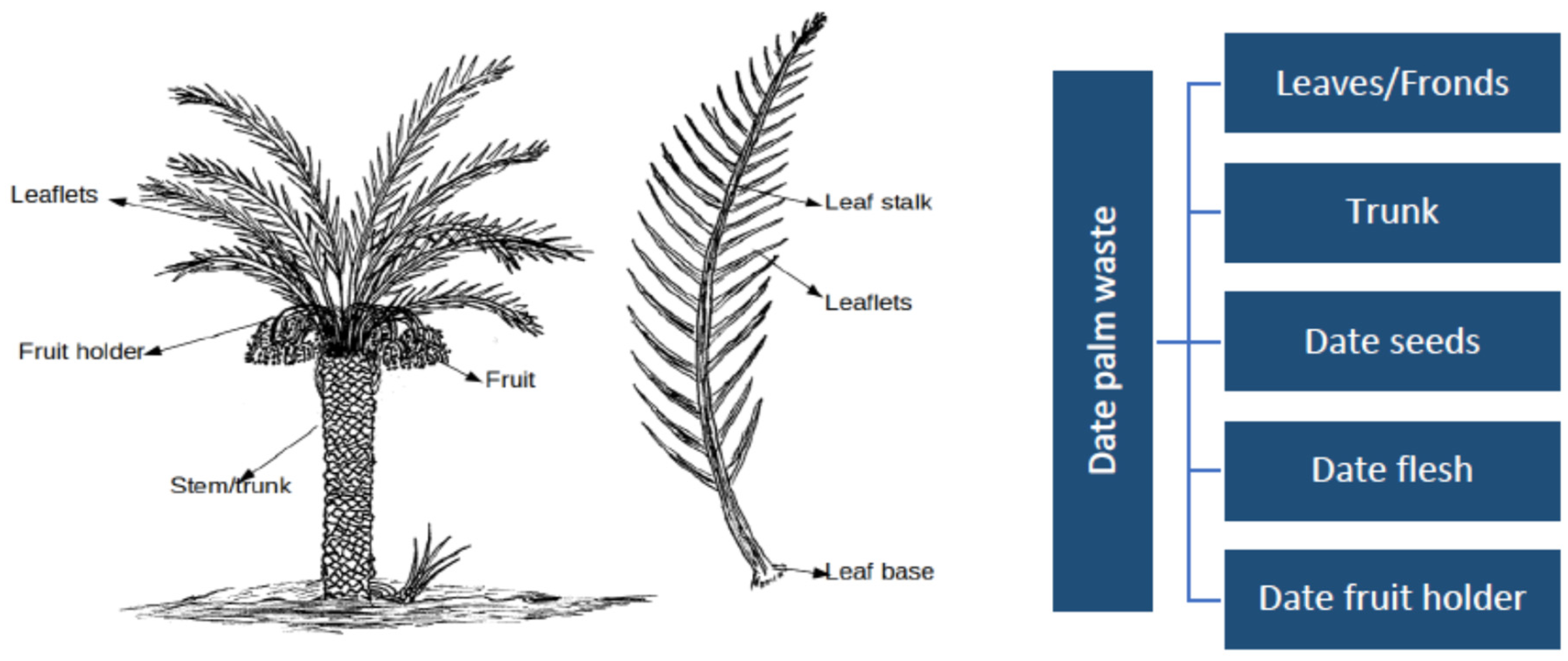 Soilsystems 08 00069 g001
