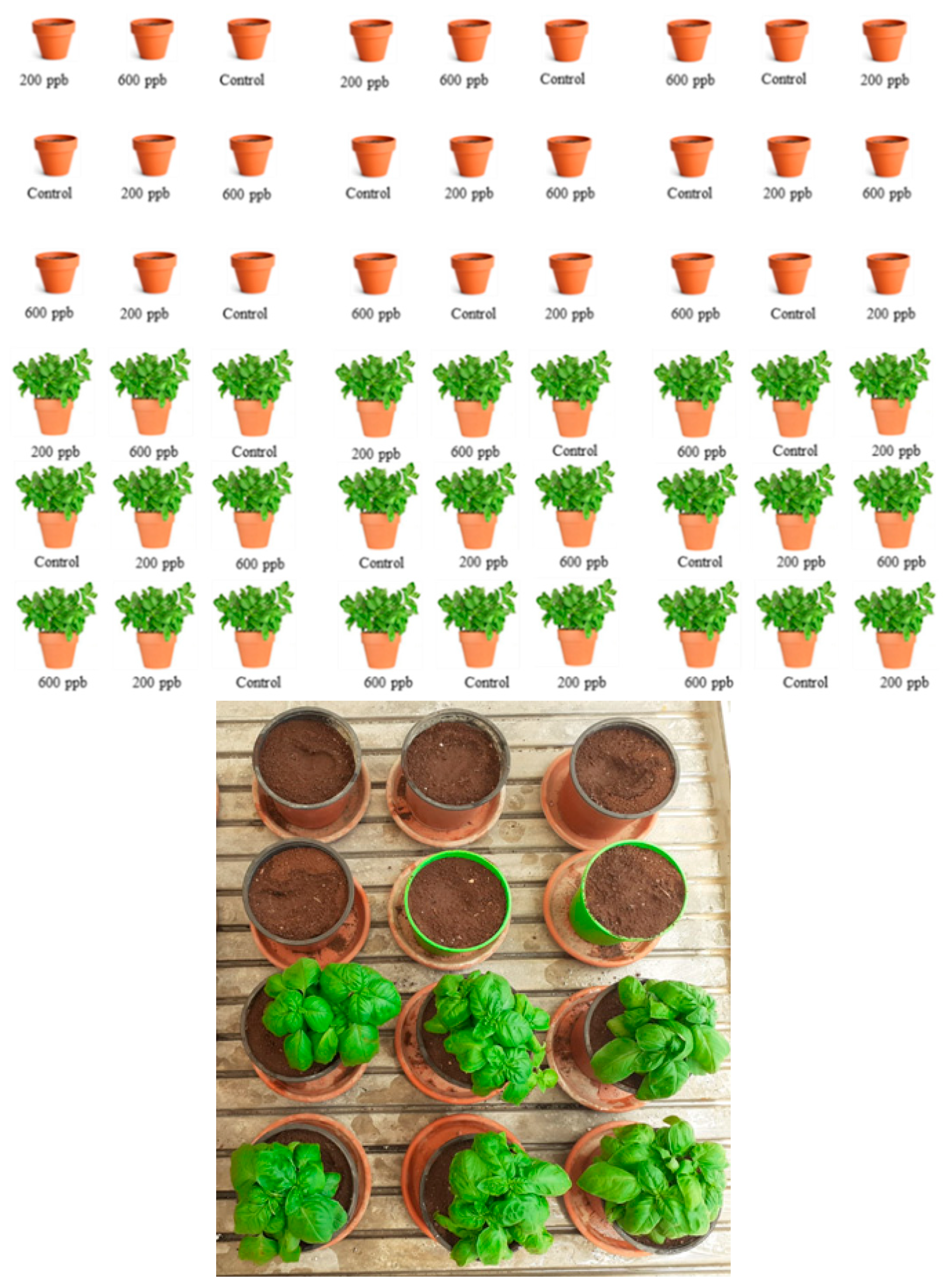 Soilsystems 08 00083 g001 Soilsystems 08 00083 g001