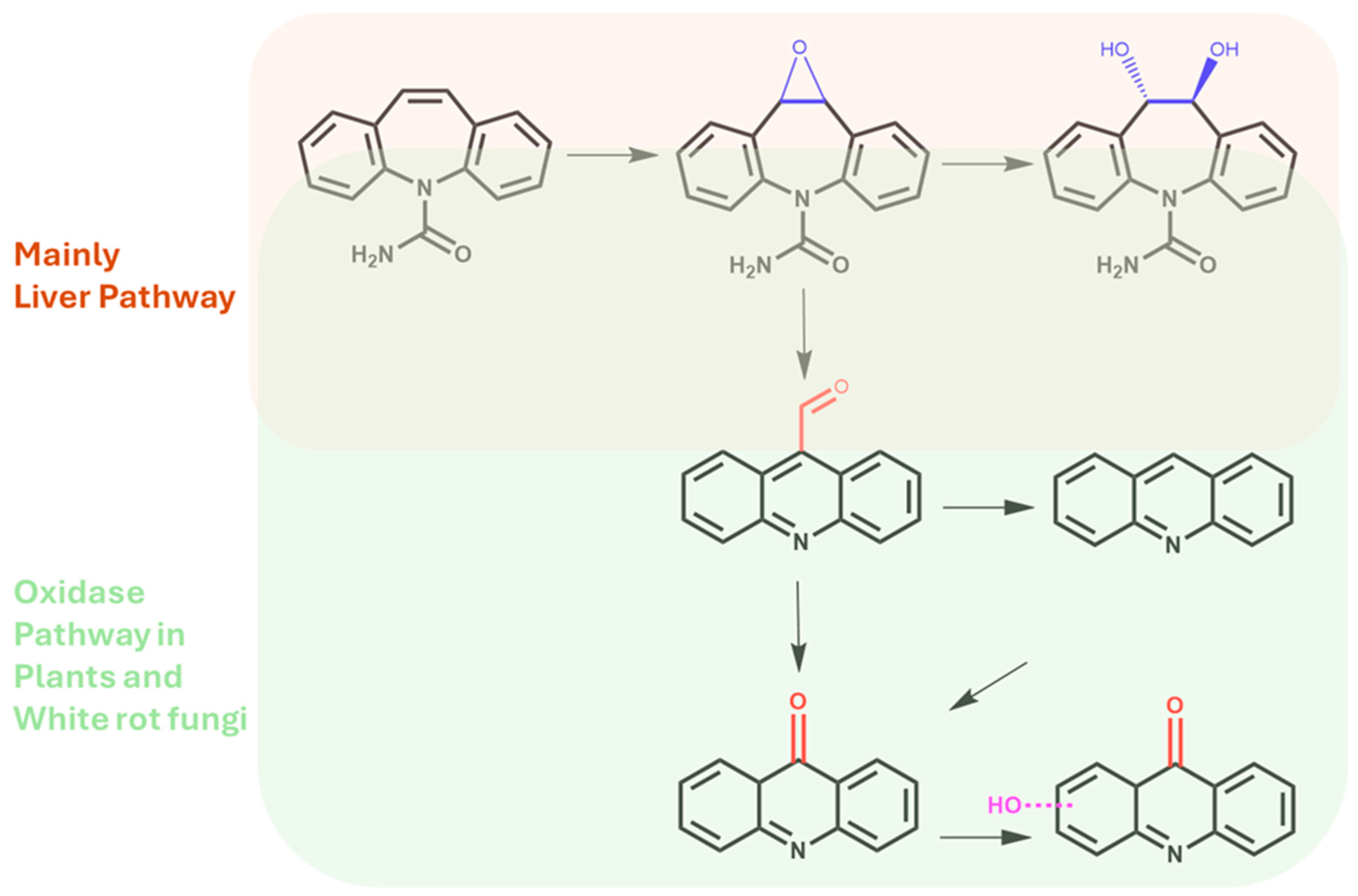 Soilsystems 08 00083 g008 Soilsystems 08 00083 g008