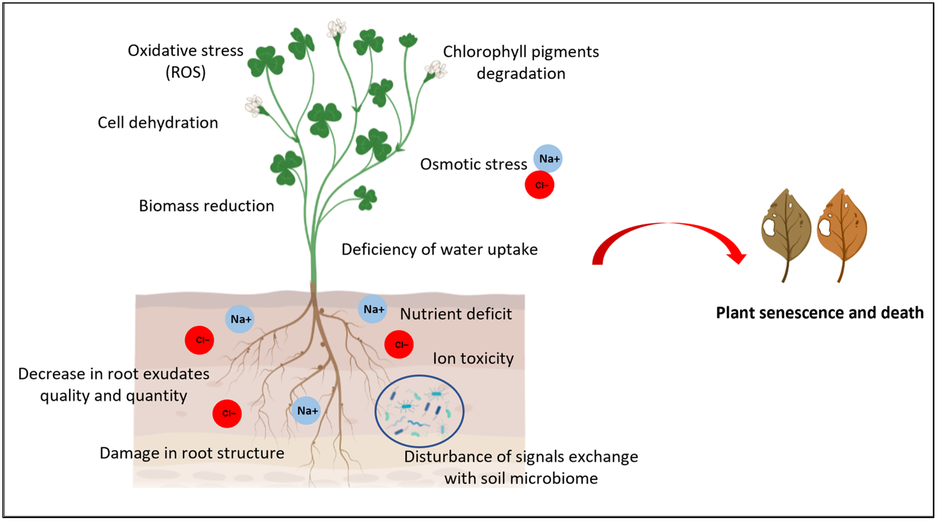 Soilsystems 08 00084 g001