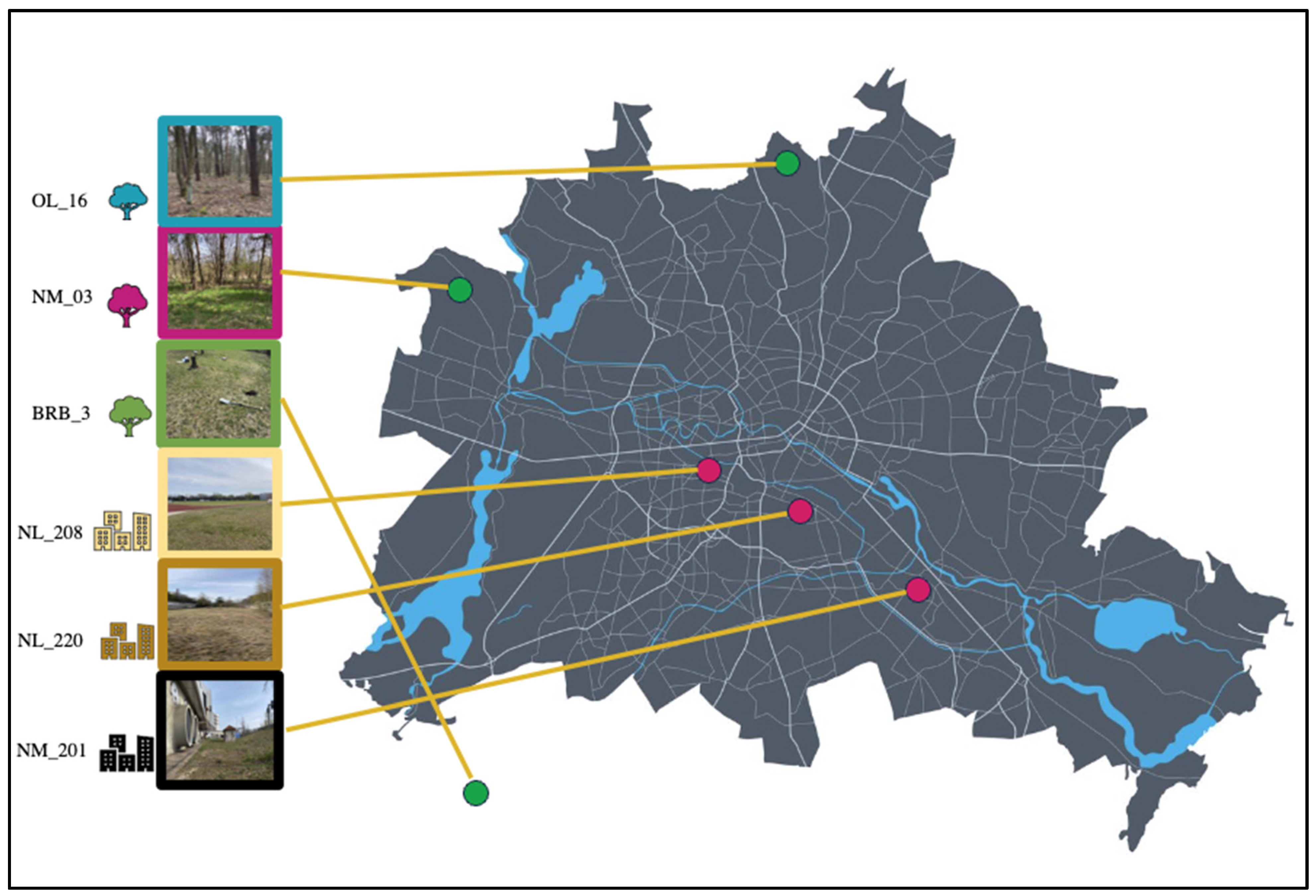 Soilsystems 08 00096 g001