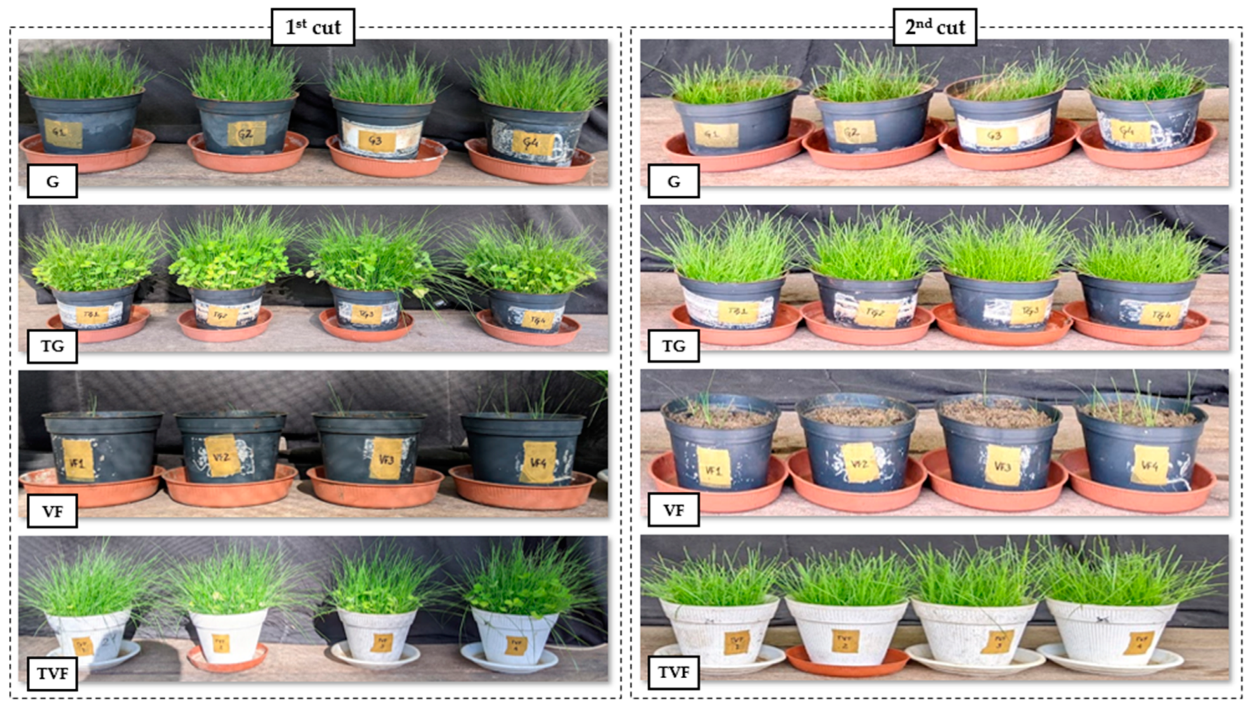 Soilsystems 08 00103 g002