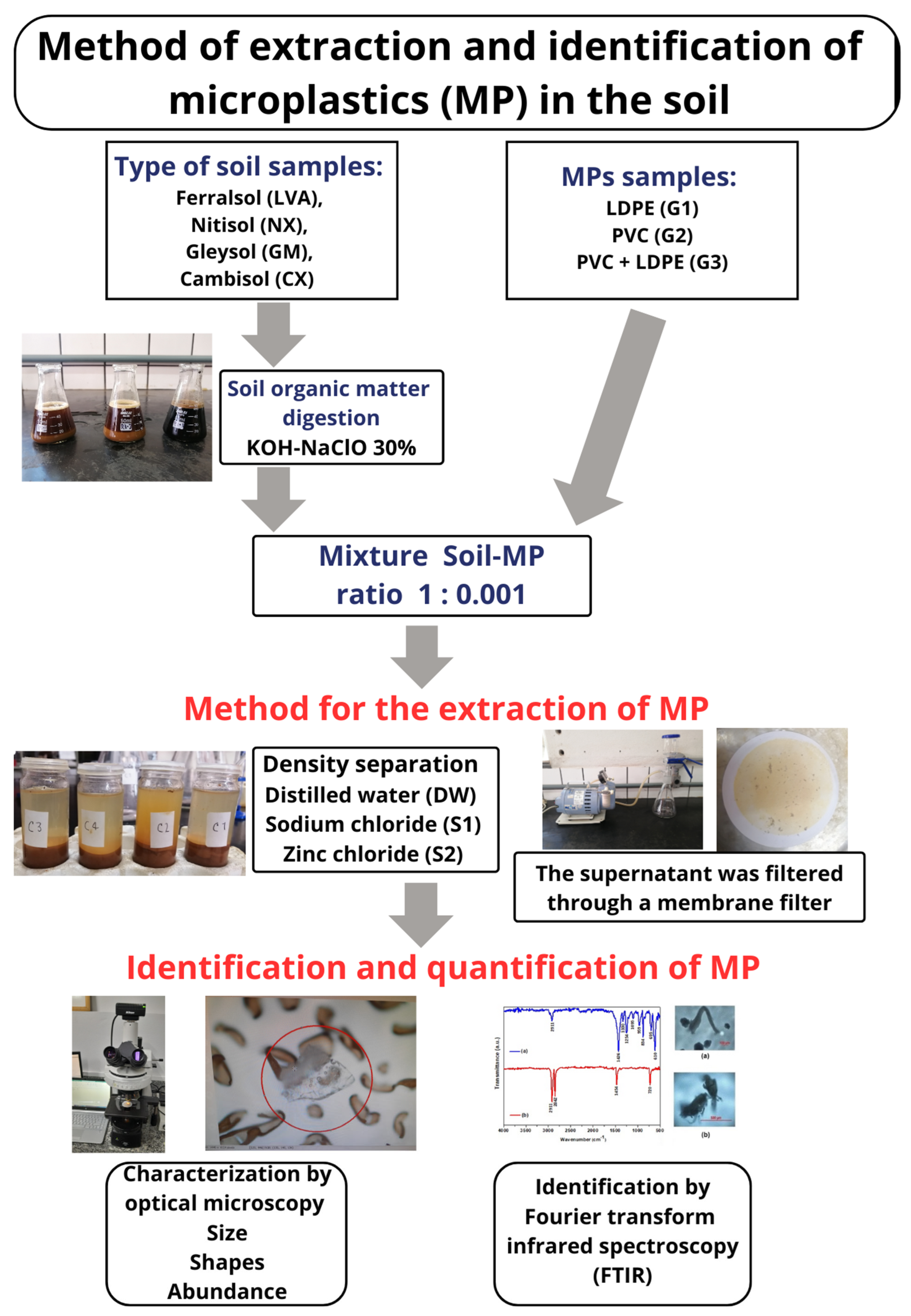 Soilsystems 09 00034 g001