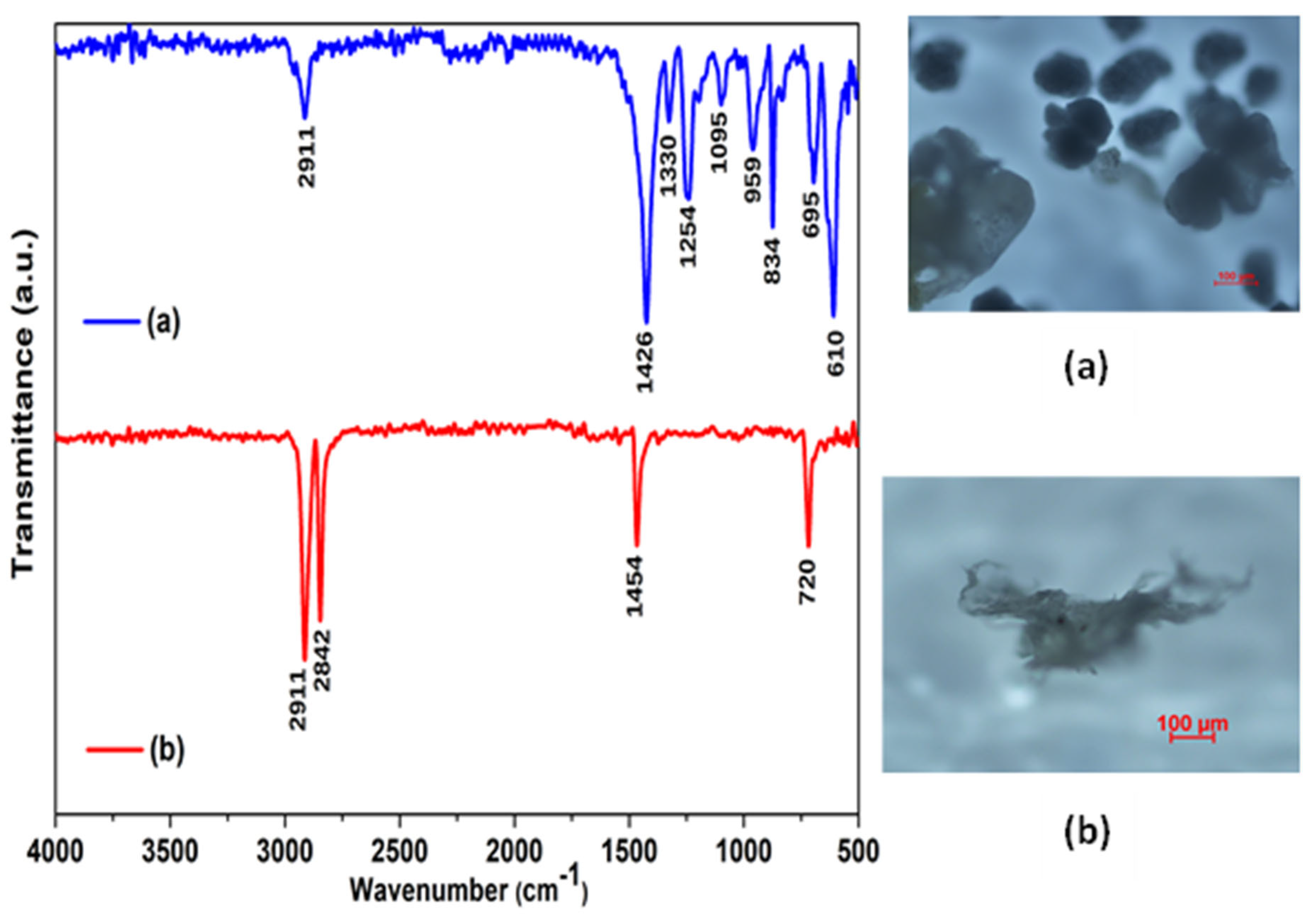 Soilsystems 09 00034 g003