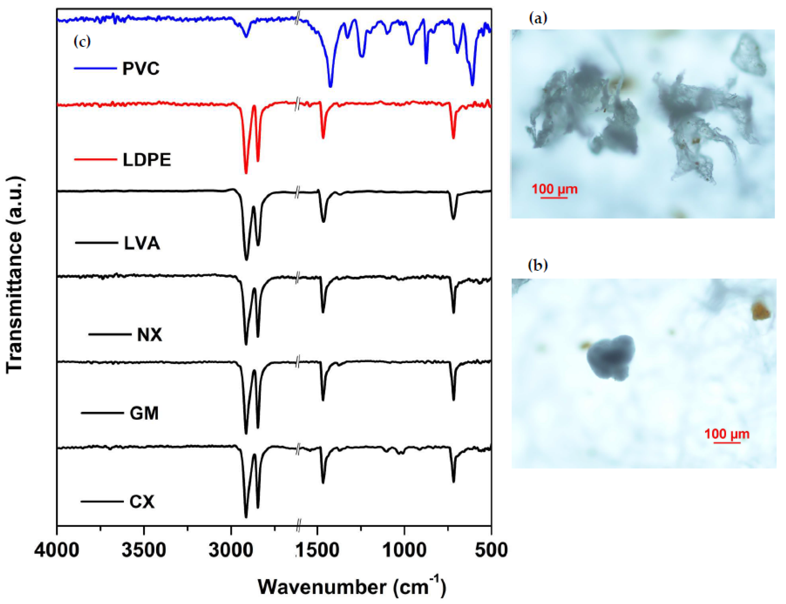 Soilsystems 09 00034 g005