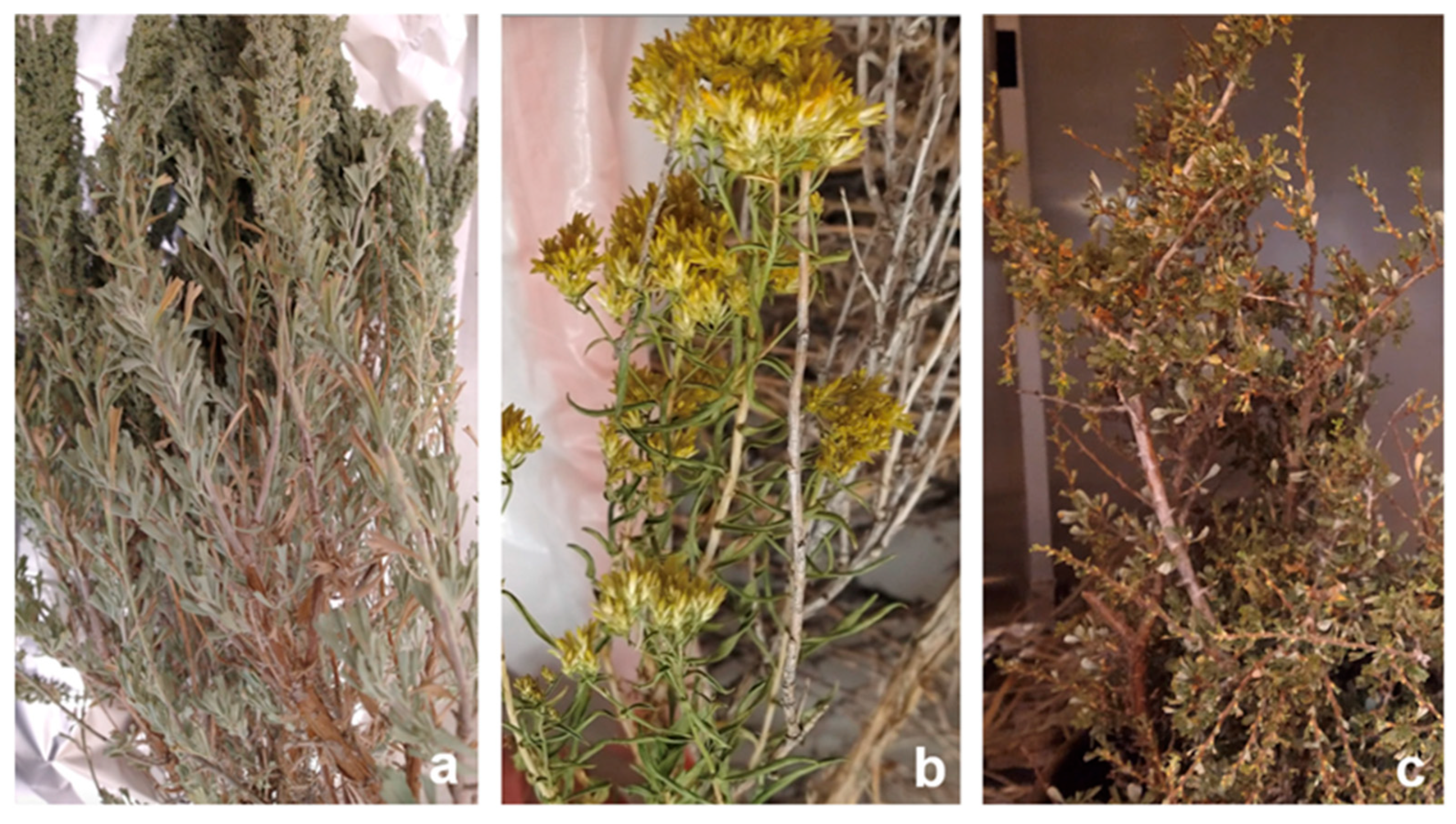 Soilsystems 09 00111 g001 Soilsystems 09 00111 g001