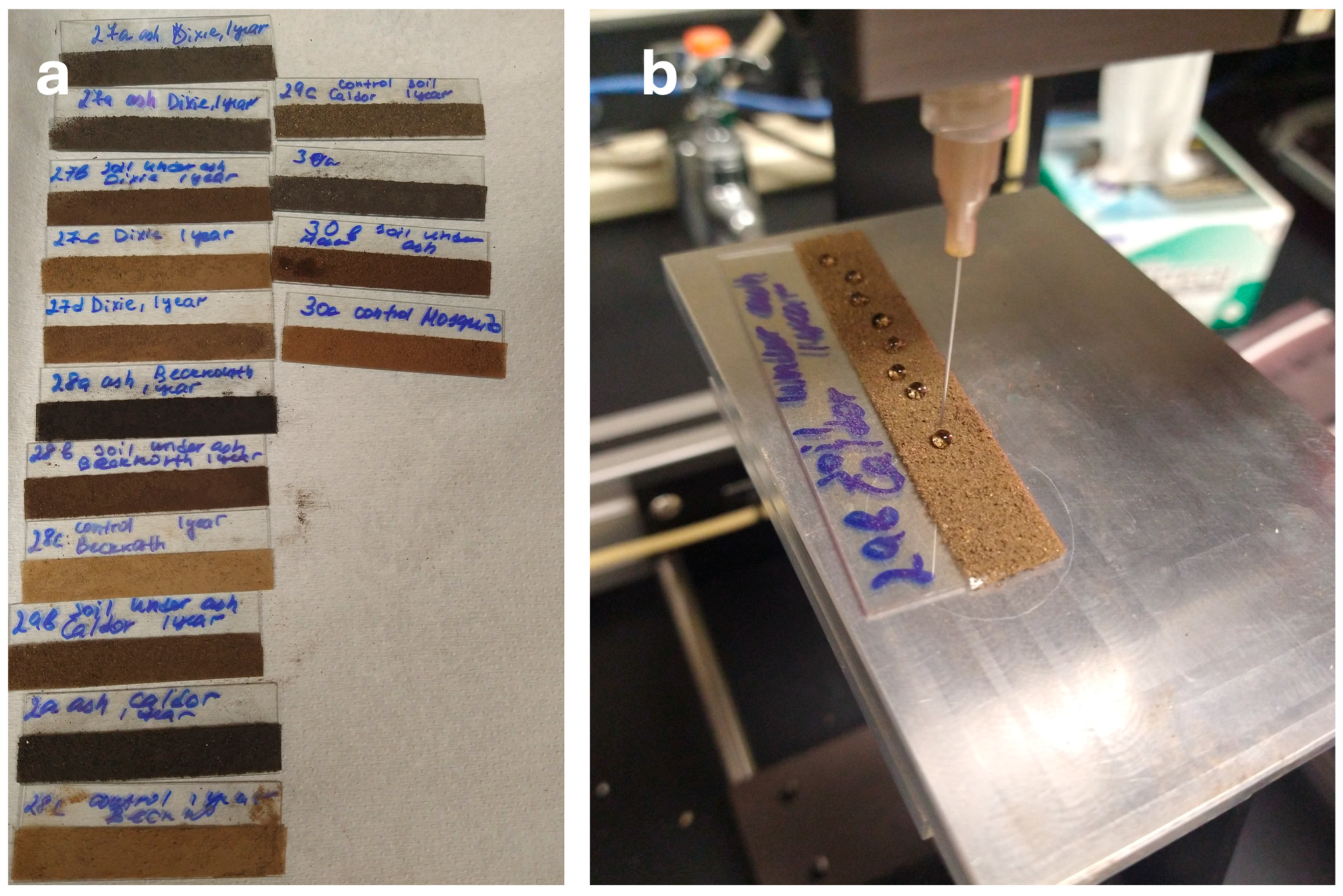 Soilsystems 09 00111 g004 Soilsystems 09 00111 g004